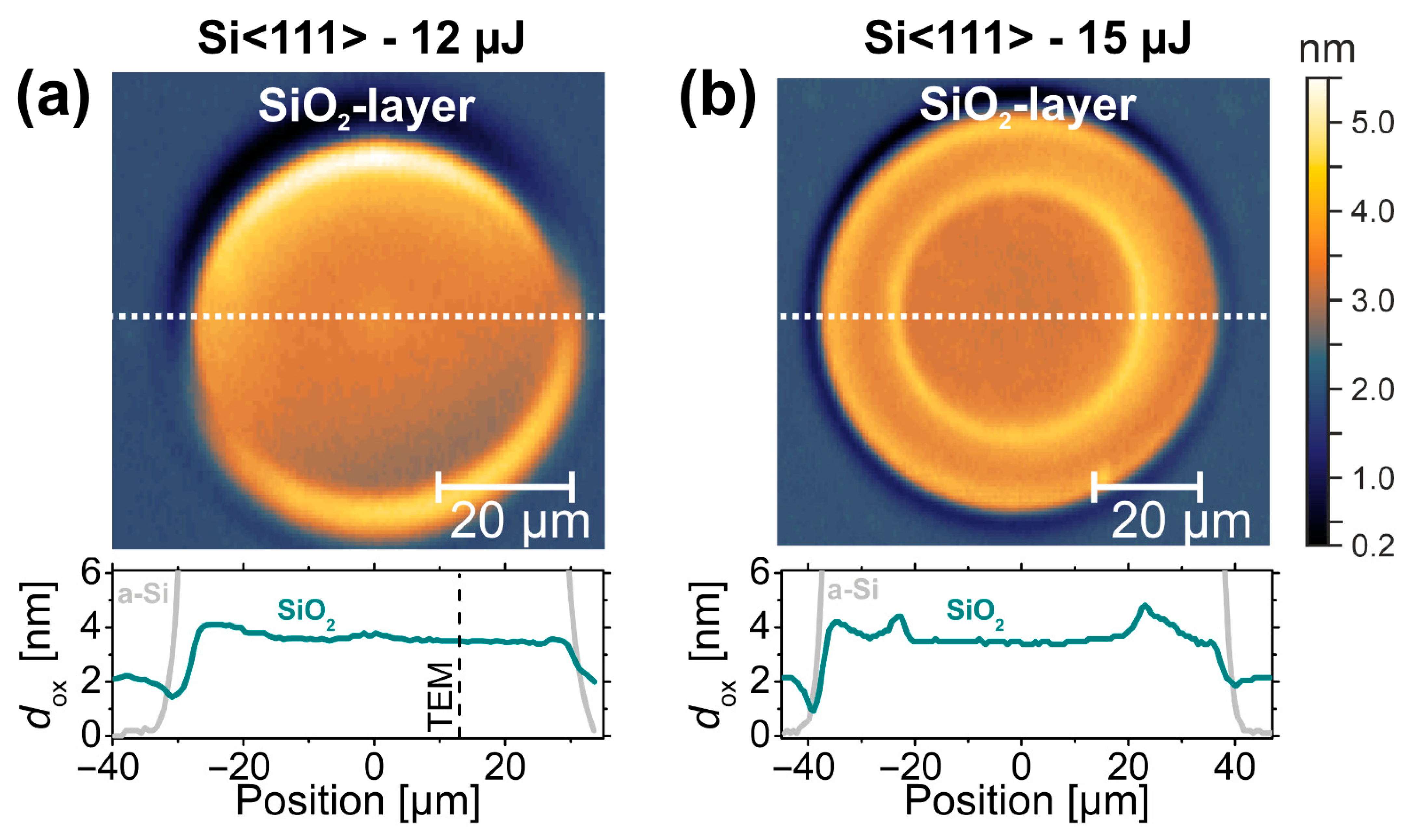 Materials 14 01651 g005