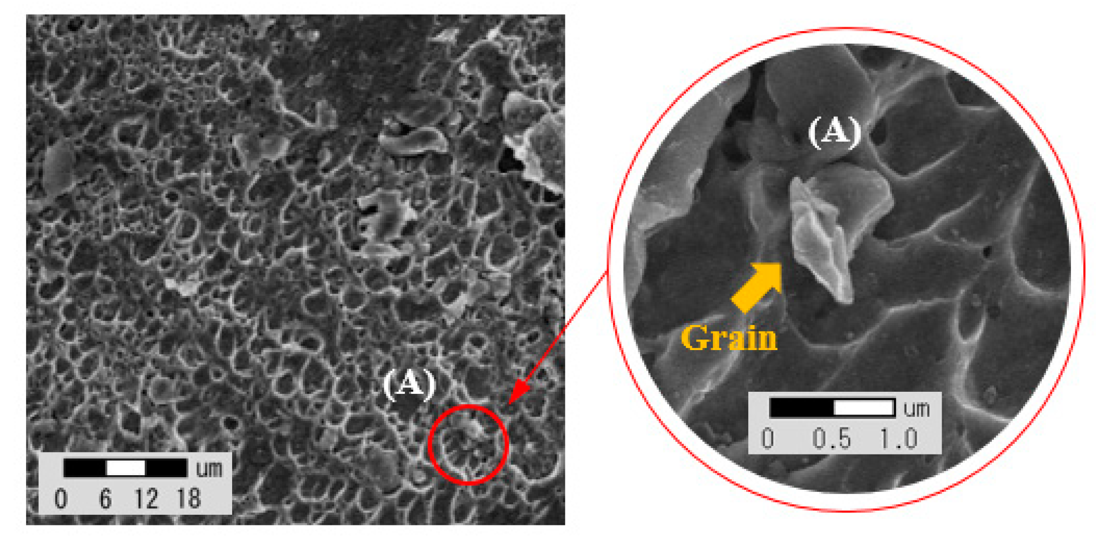 Materials 14 01659 g007