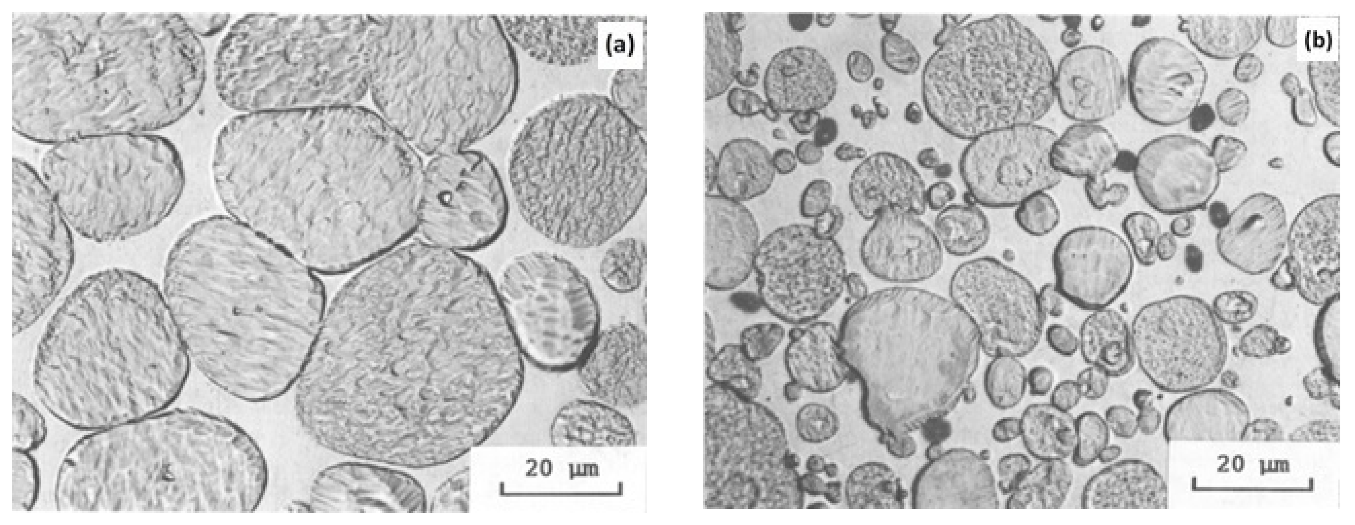 Materials 14 01660 g003 Materials 14 01660 g003