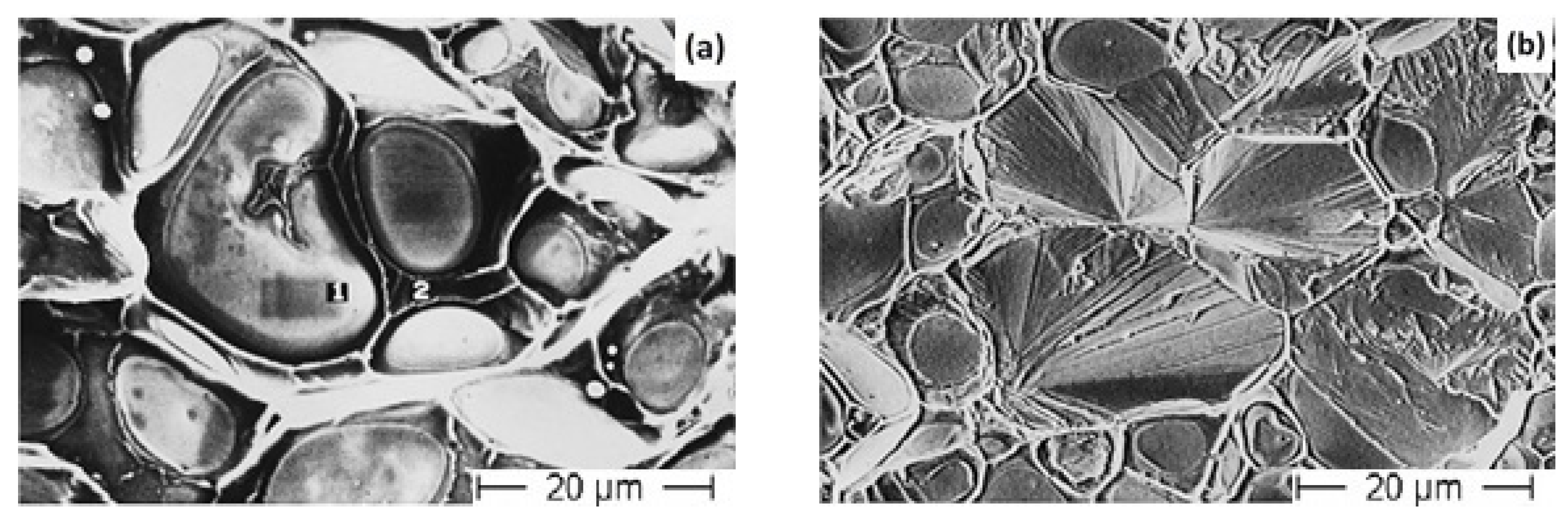 Materials 14 01660 g007 Materials 14 01660 g007