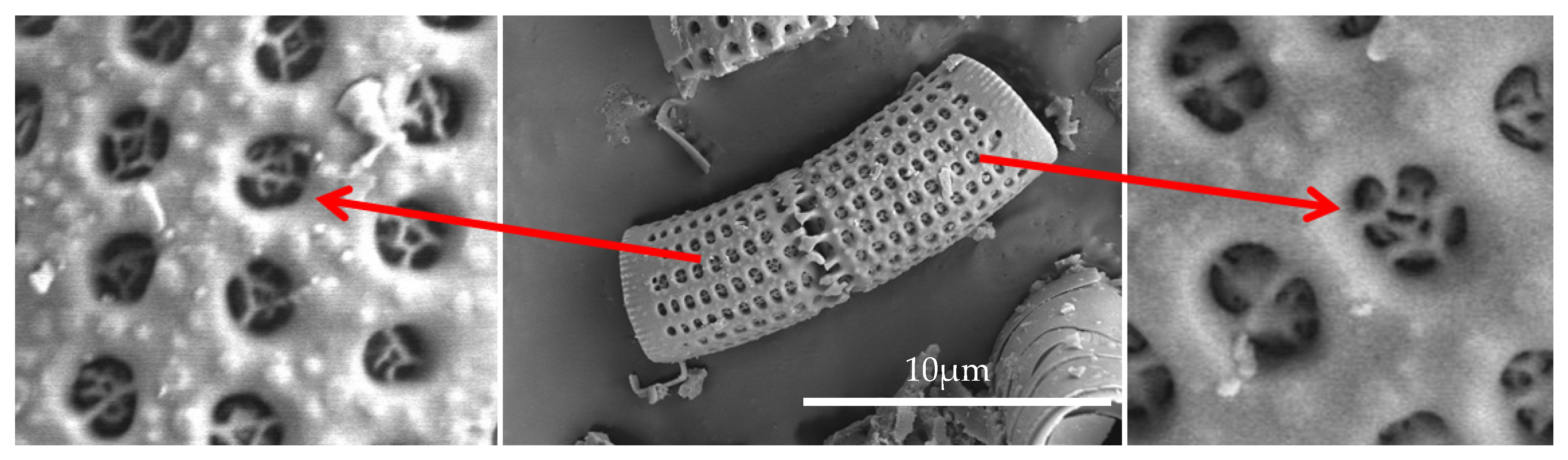 Materials 14 01663 g004