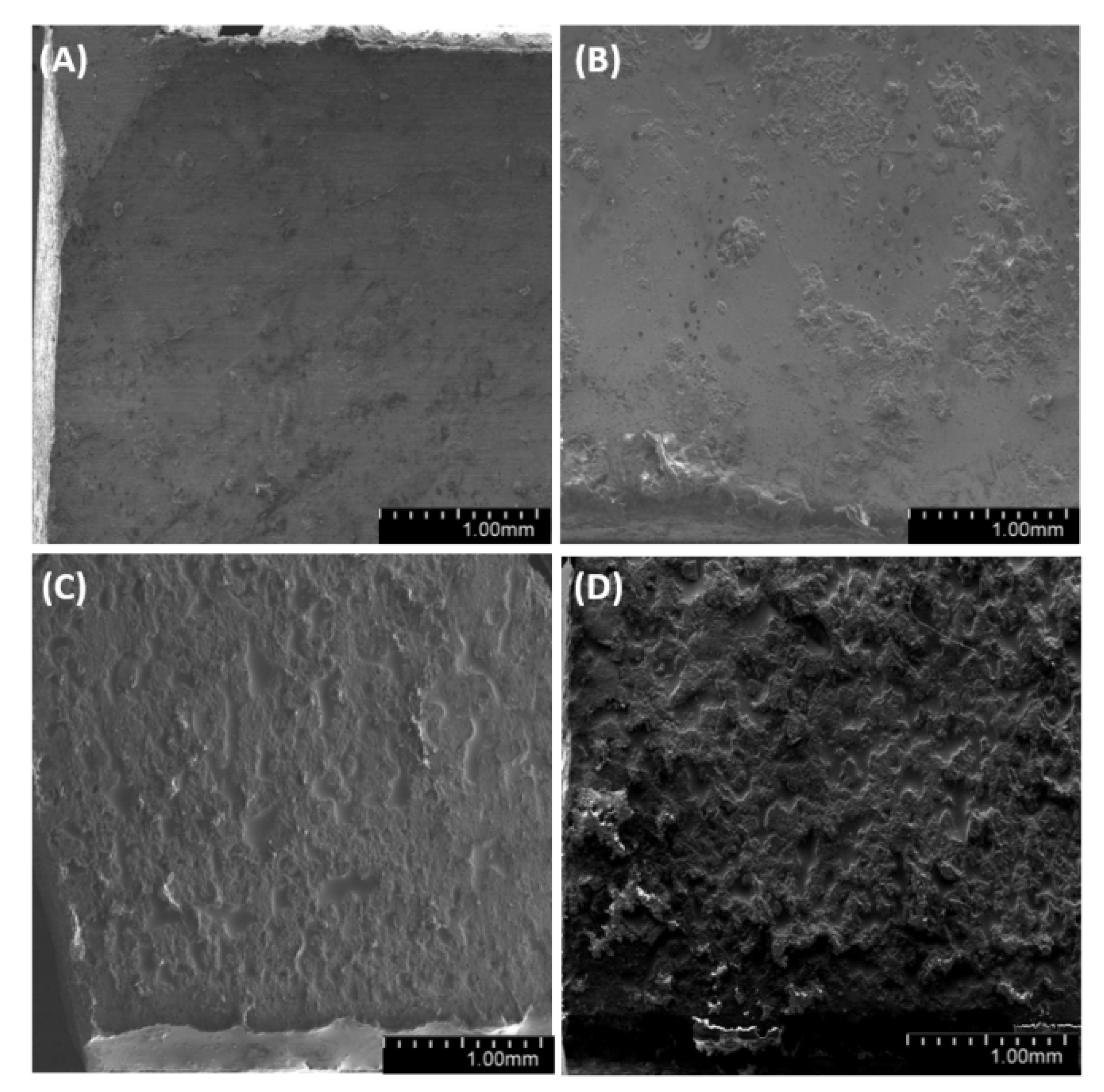 Materials 14 01663 g019