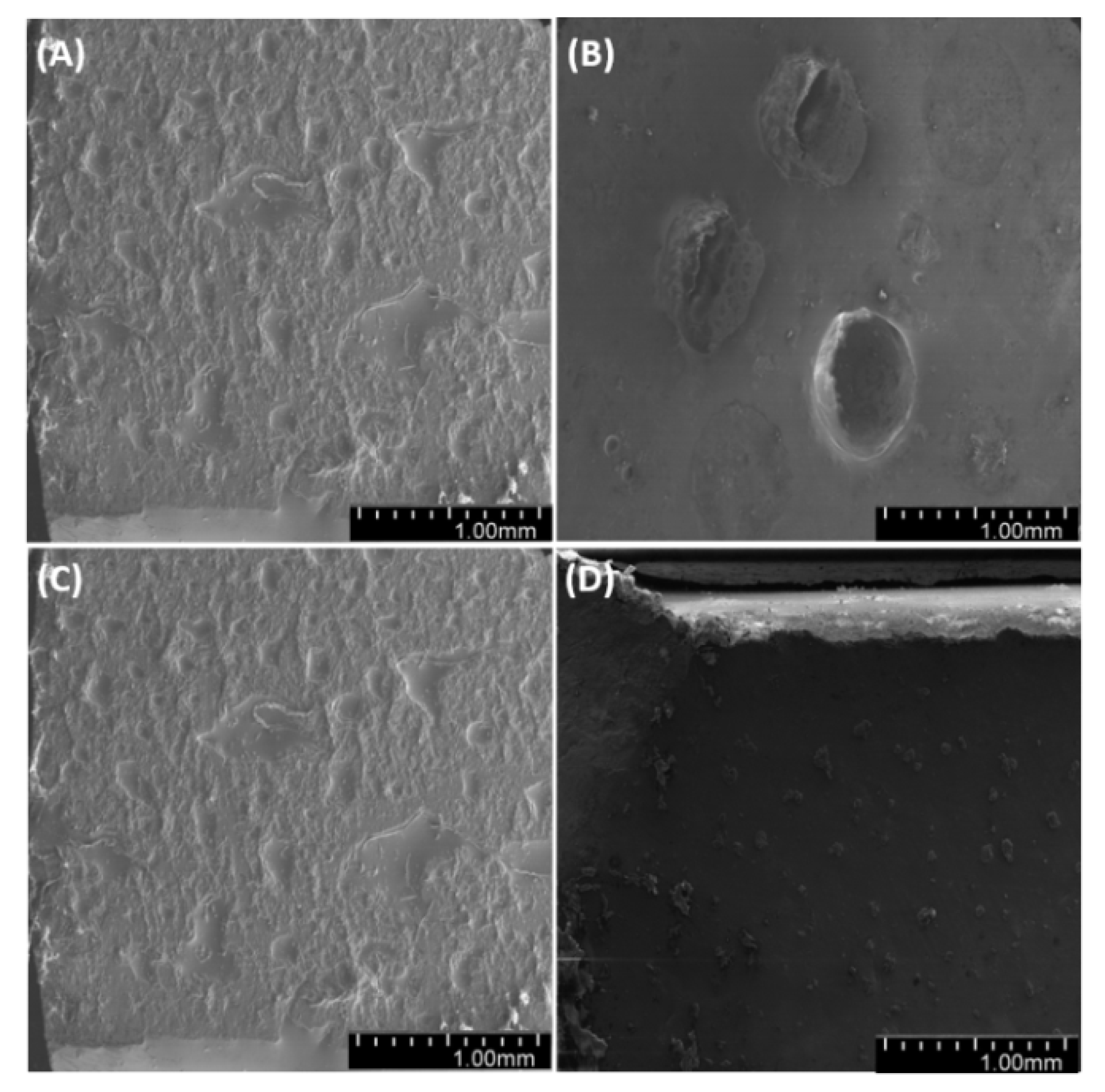 Materials 14 01663 g020