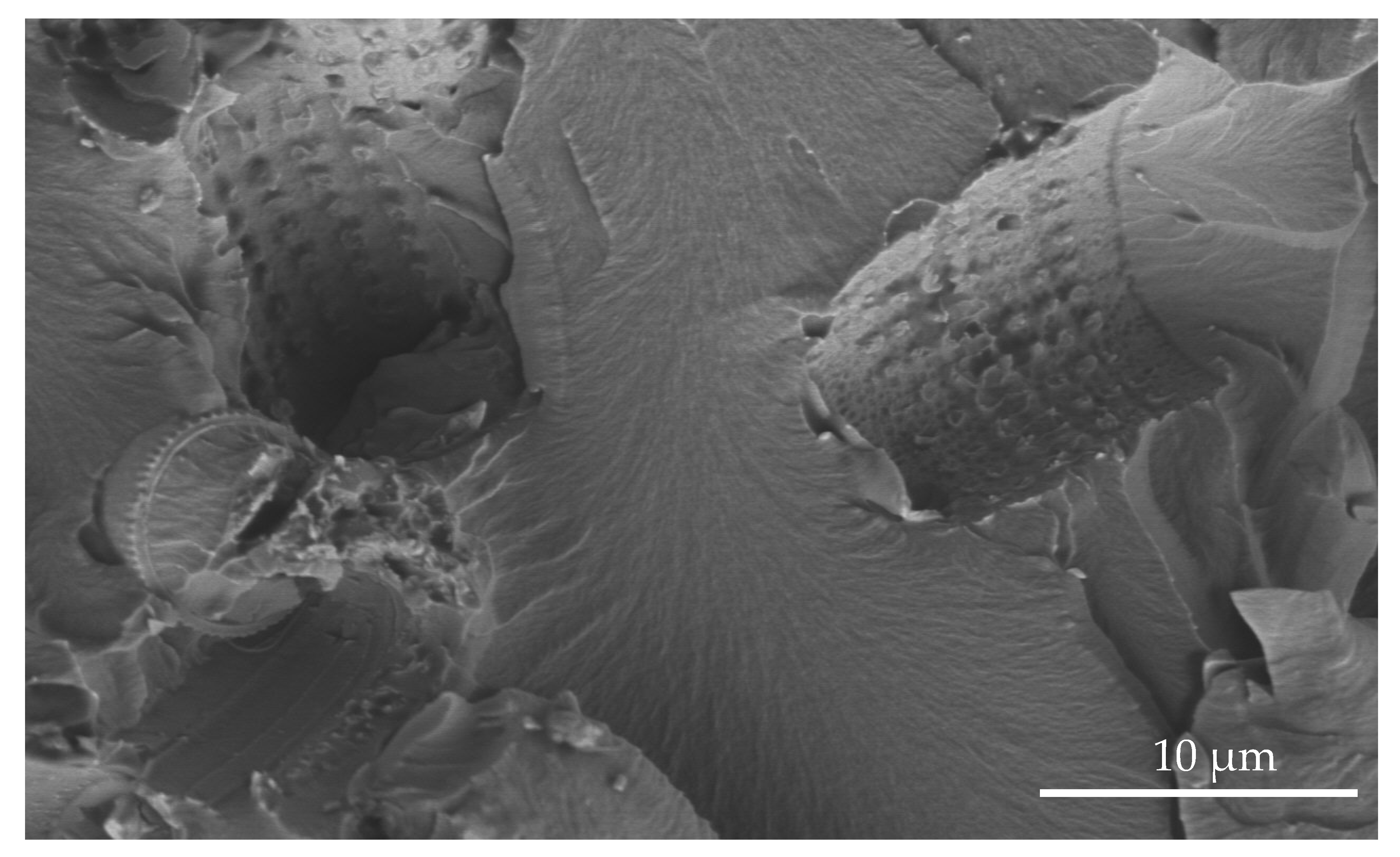 Materials 14 01663 g028