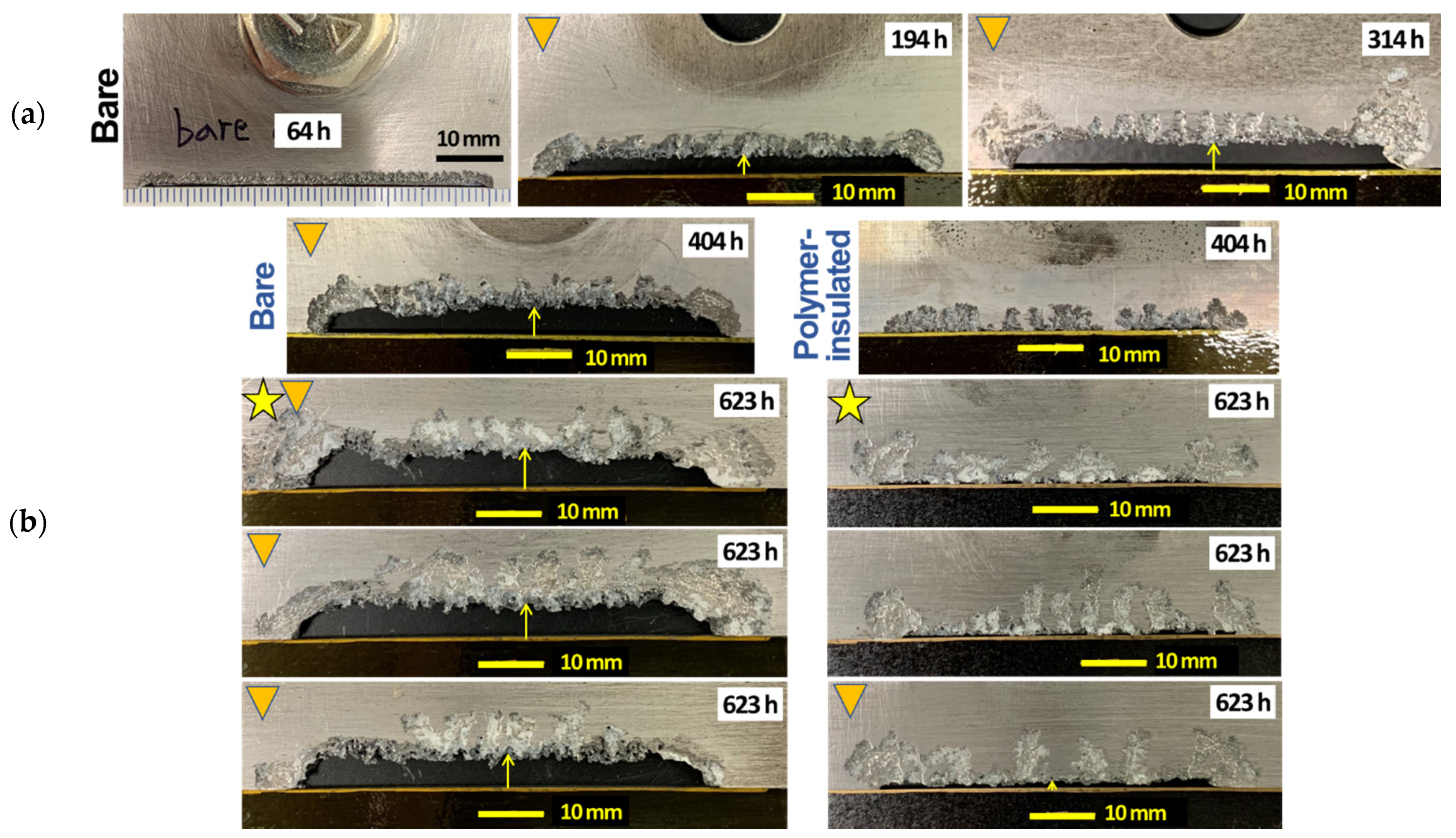 Materials 14 01670 g004 Materials 14 01670 g004