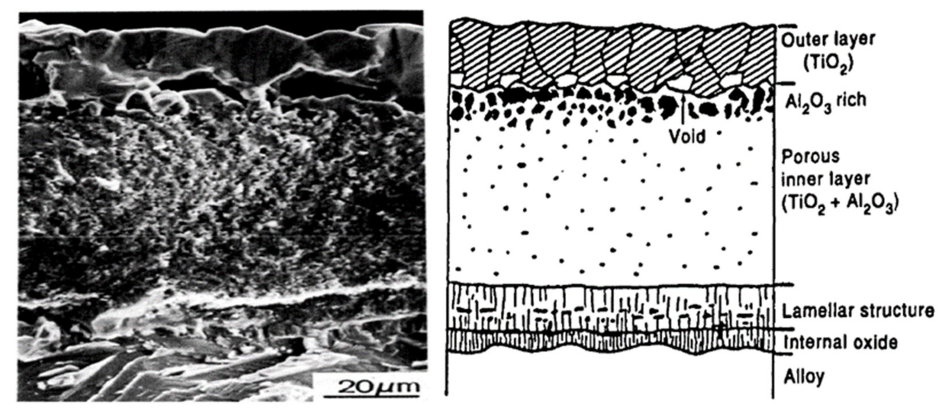 Materials 14 01677 g003