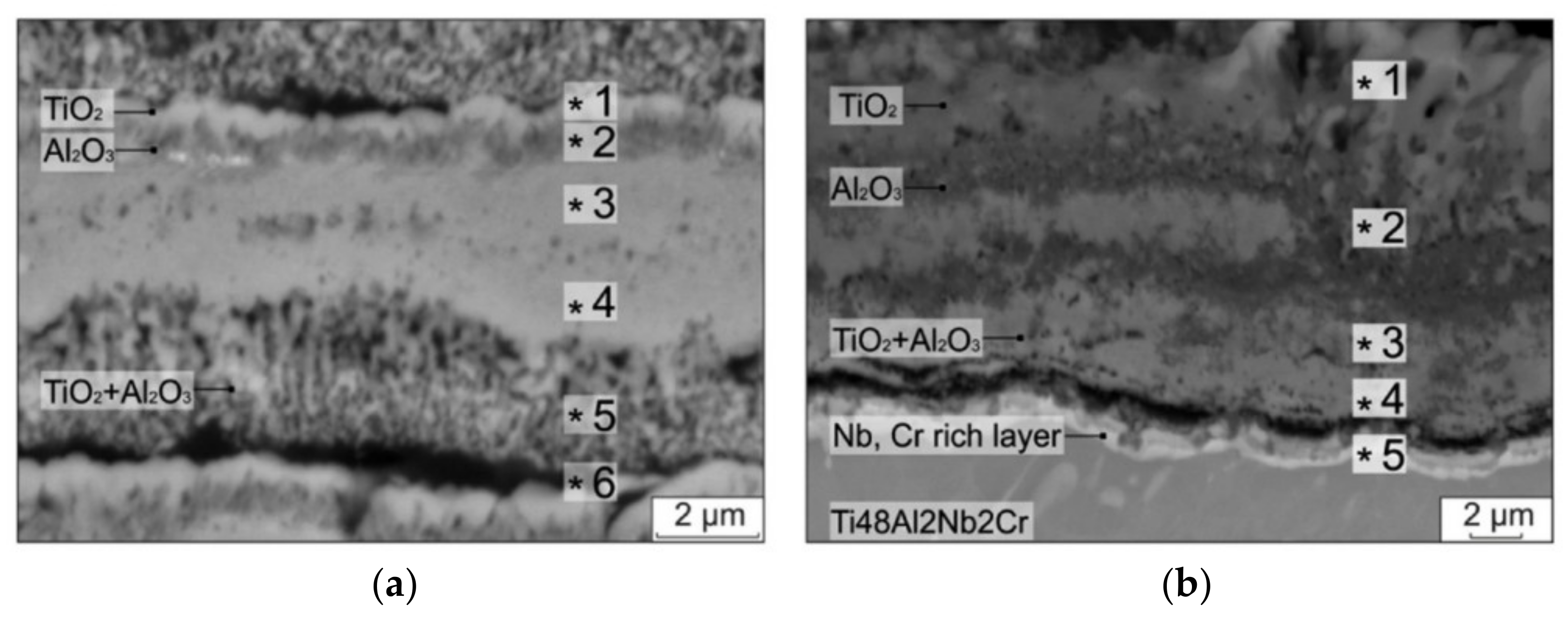 Materials 14 01677 g006
