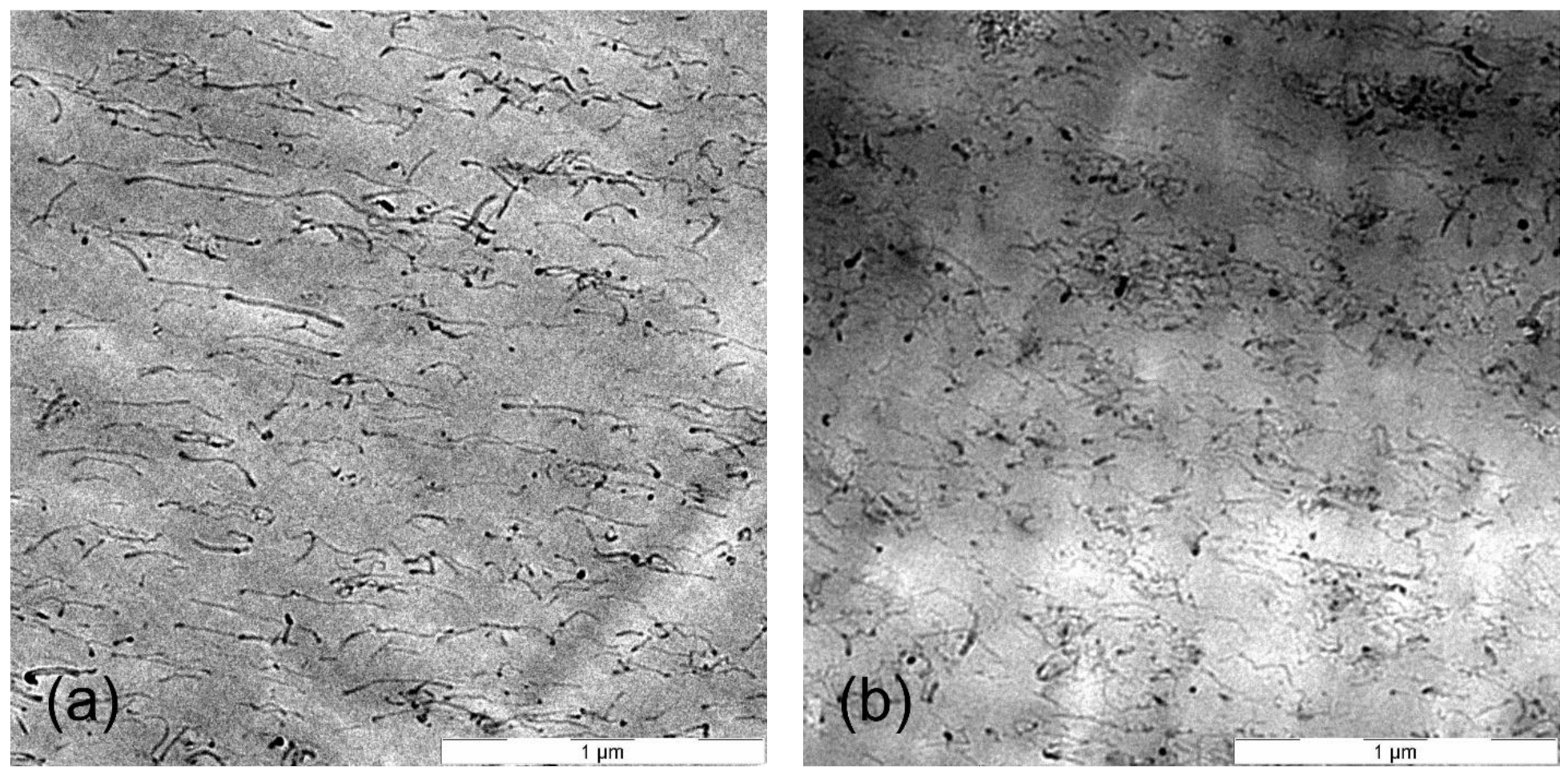 Materials 14 01687 g005 Materials 14 01687 g005