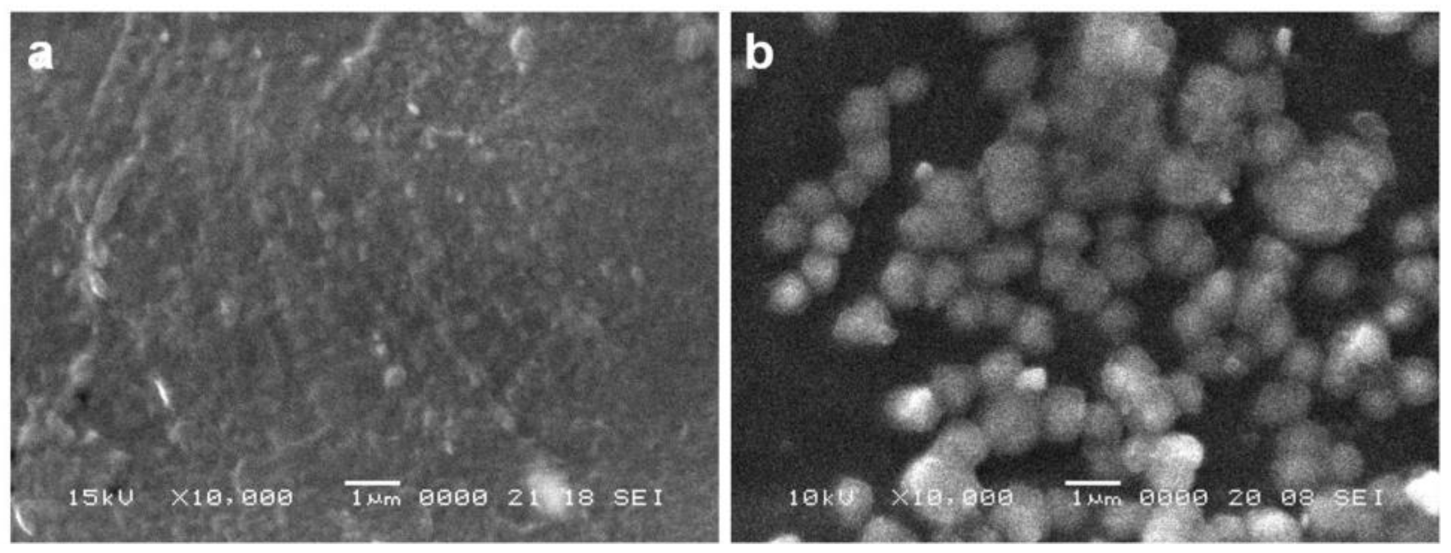 Materials 14 01727 g004