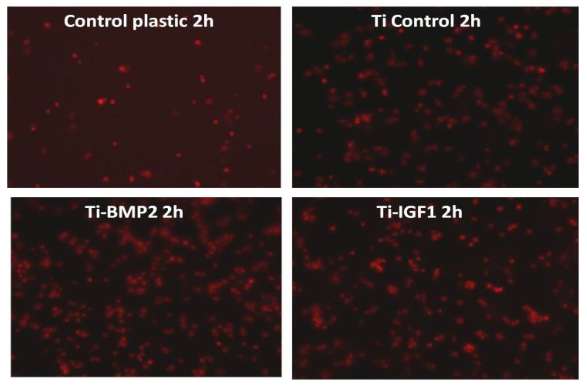 Materials 14 01727 g009