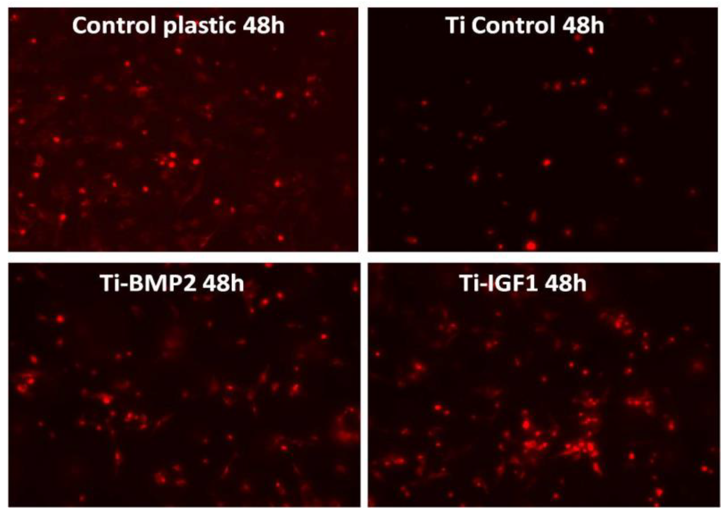 Materials 14 01727 g010