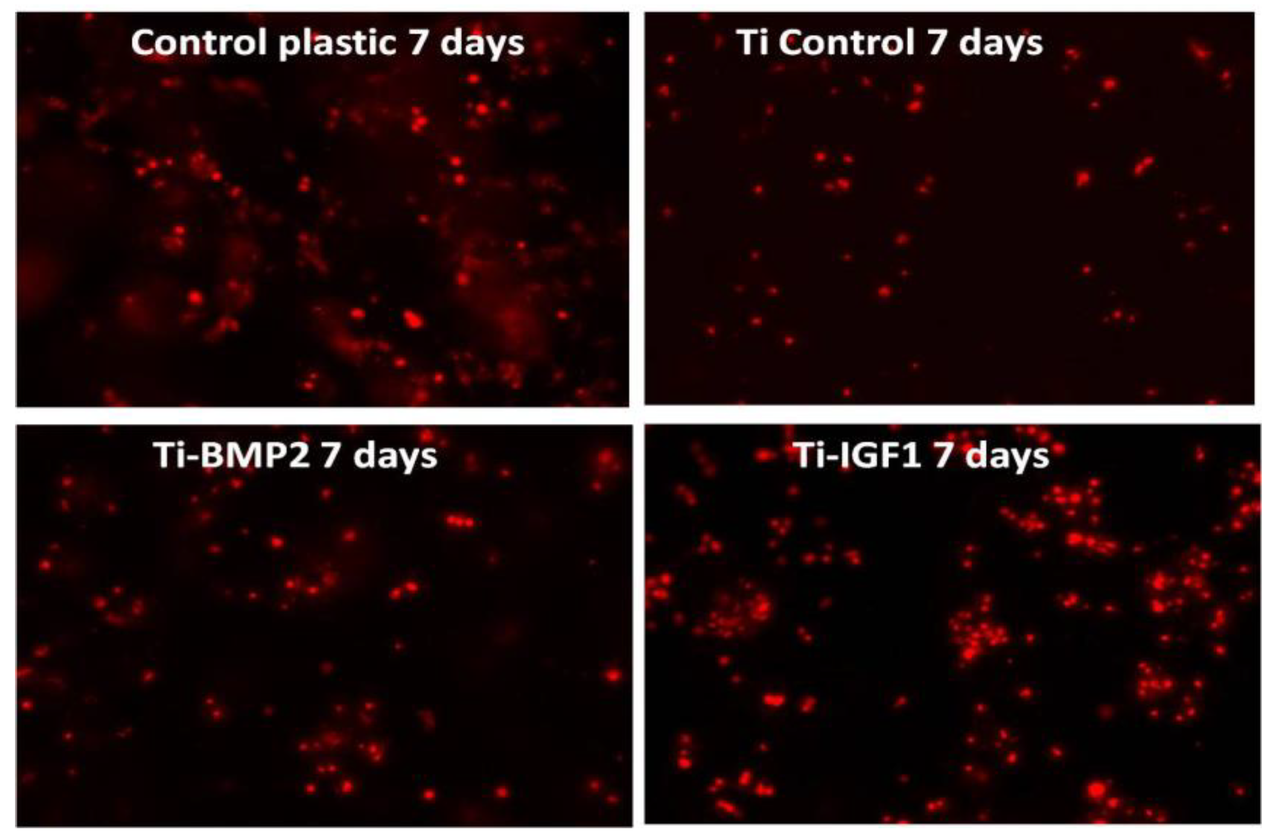 Materials 14 01727 g011