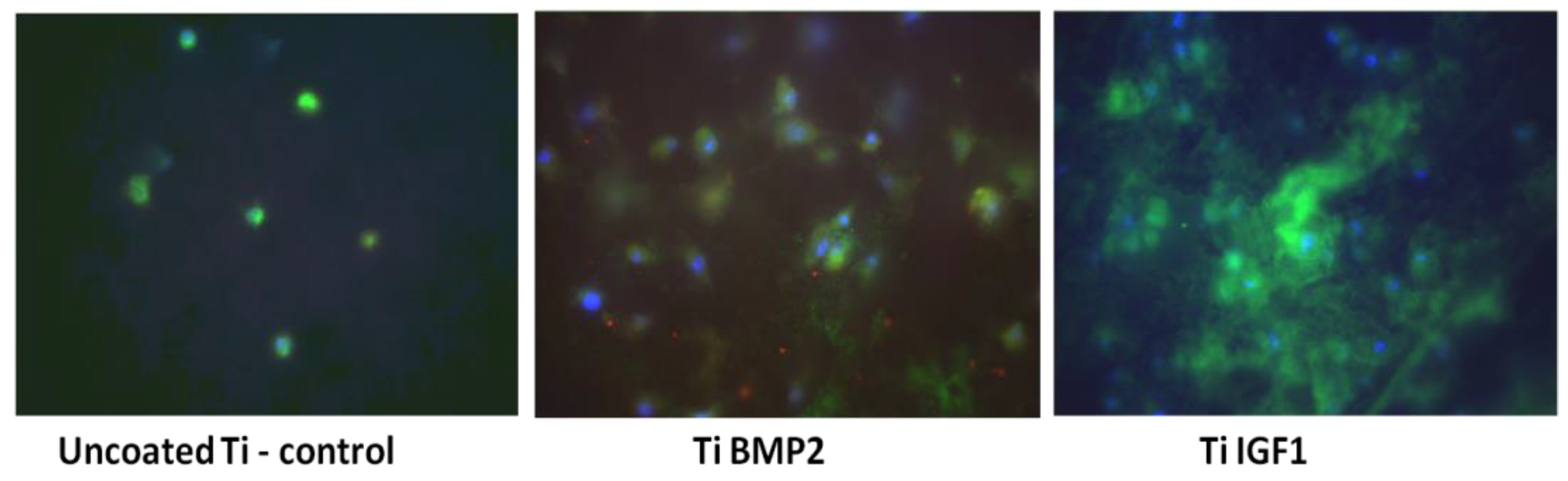 Materials 14 01727 g012