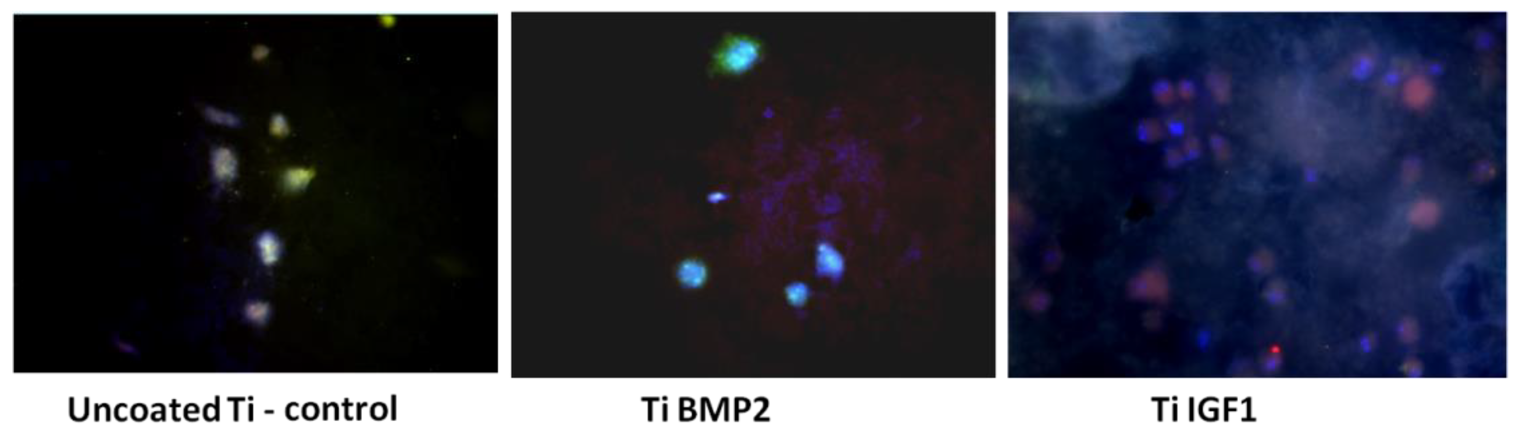 Materials 14 01727 g013