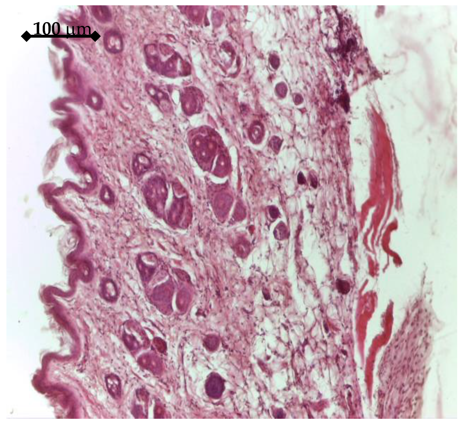 Materials 14 01727 g014