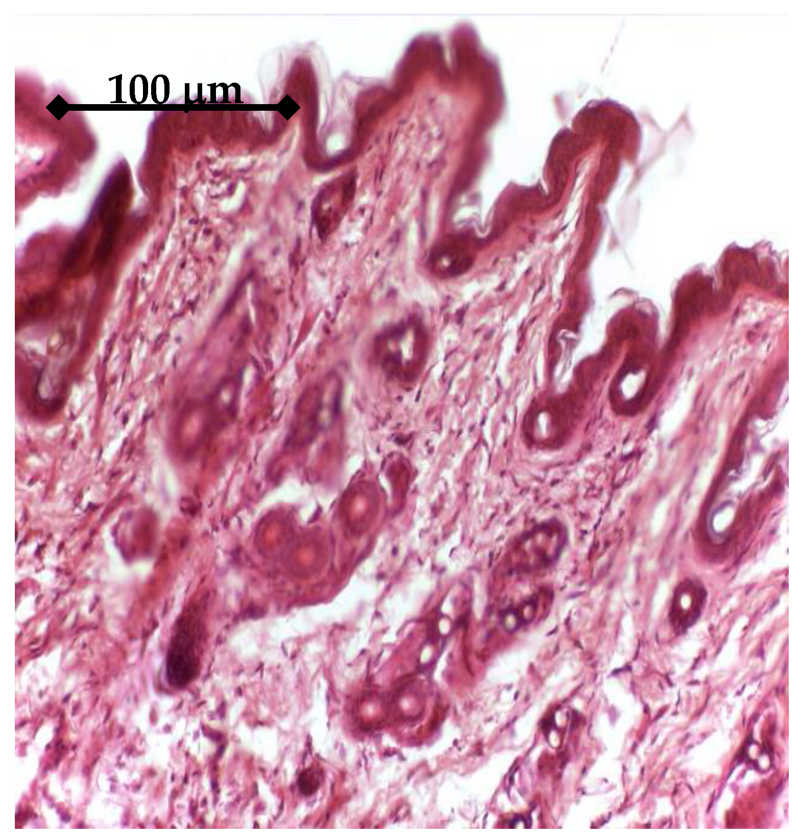 Materials 14 01727 g015