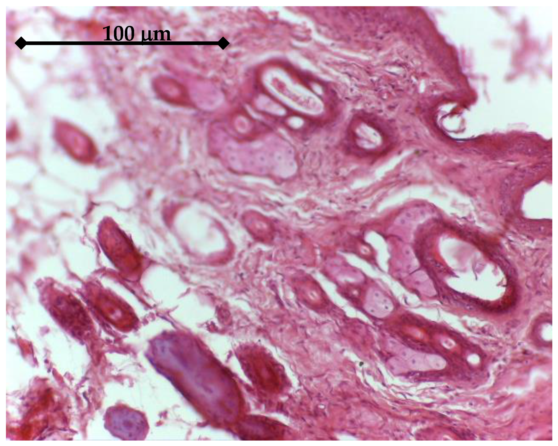 Materials 14 01727 g016