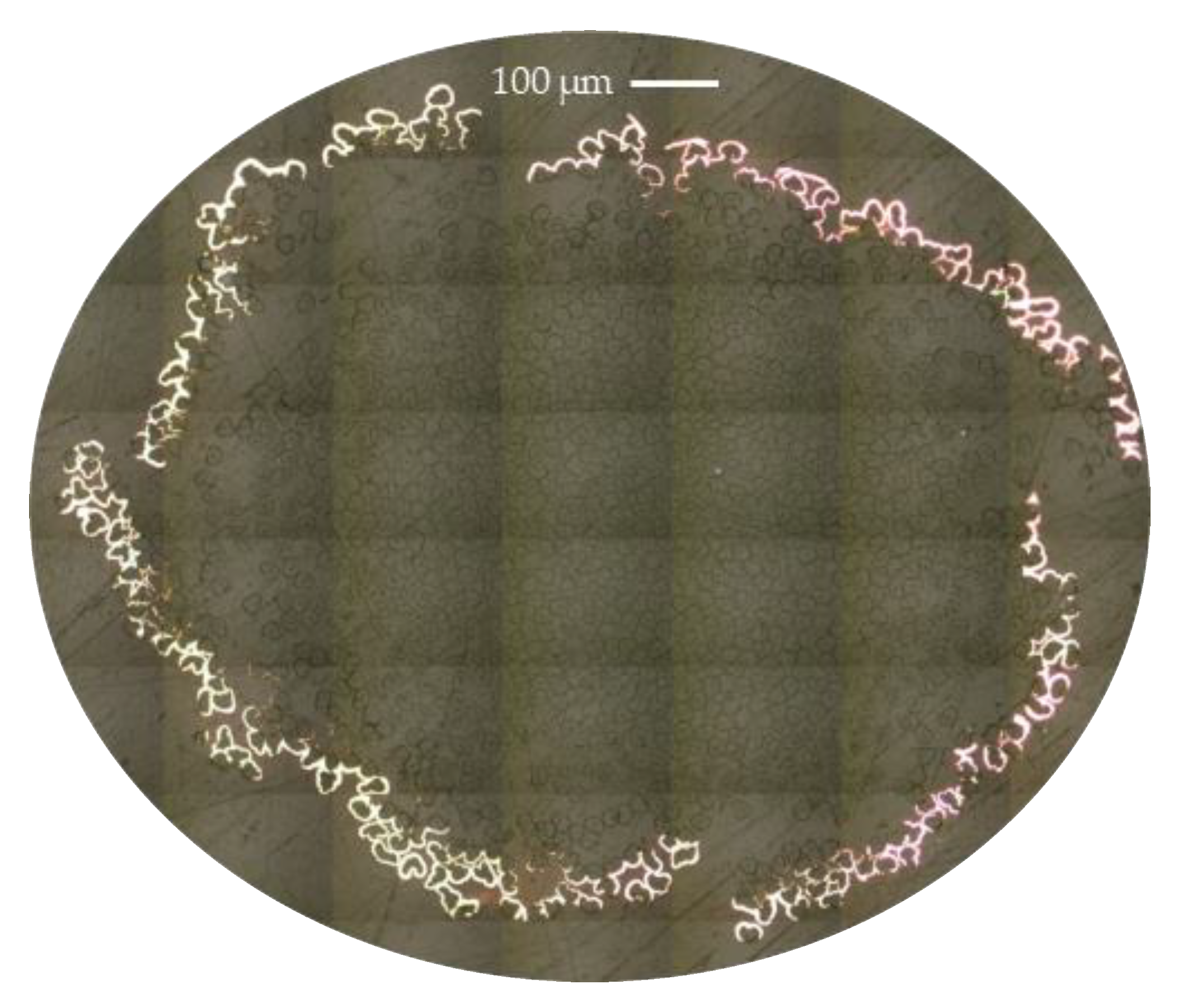 Materials 14 01746 g003