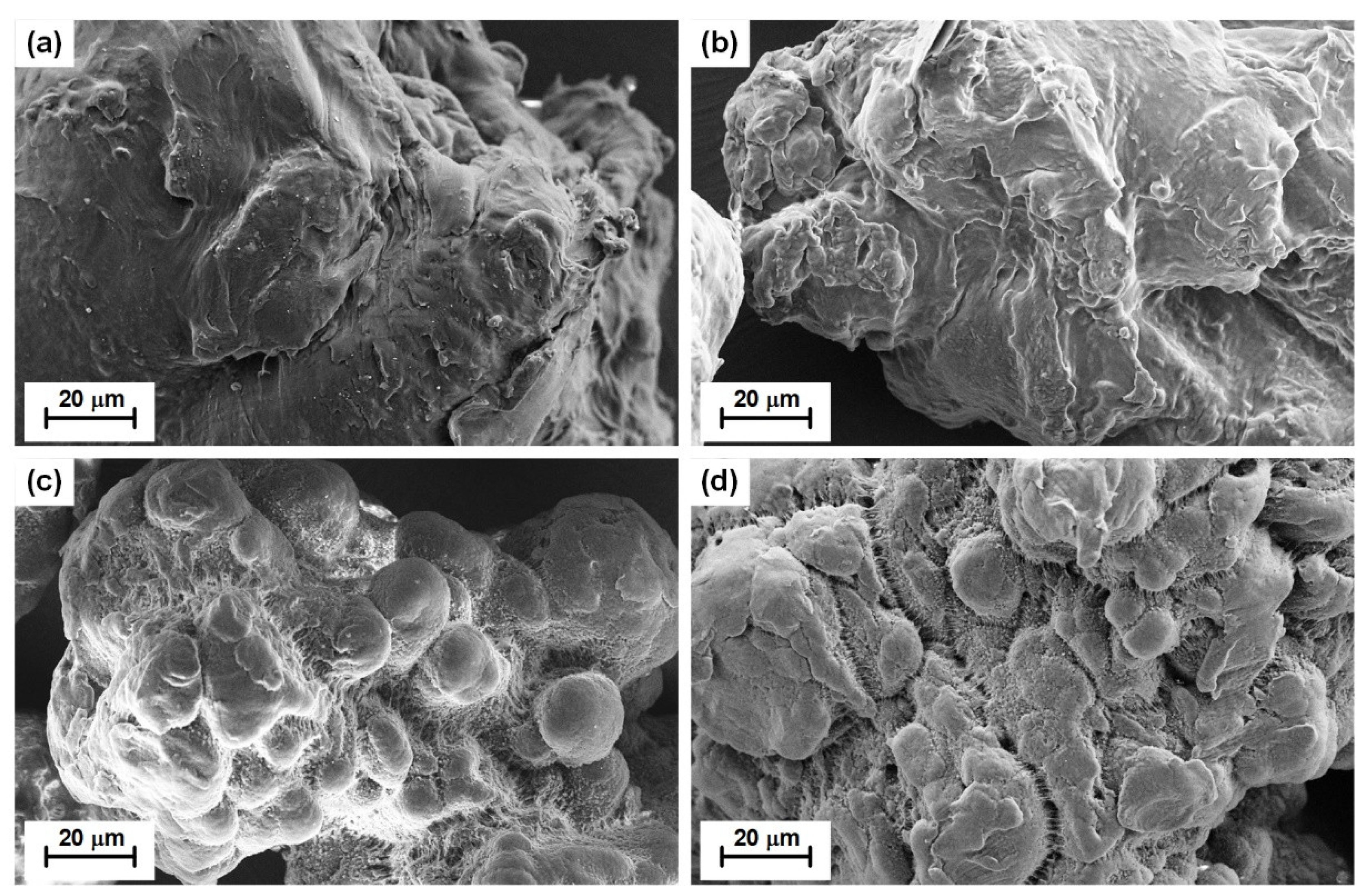 Materials 14 01757 g001