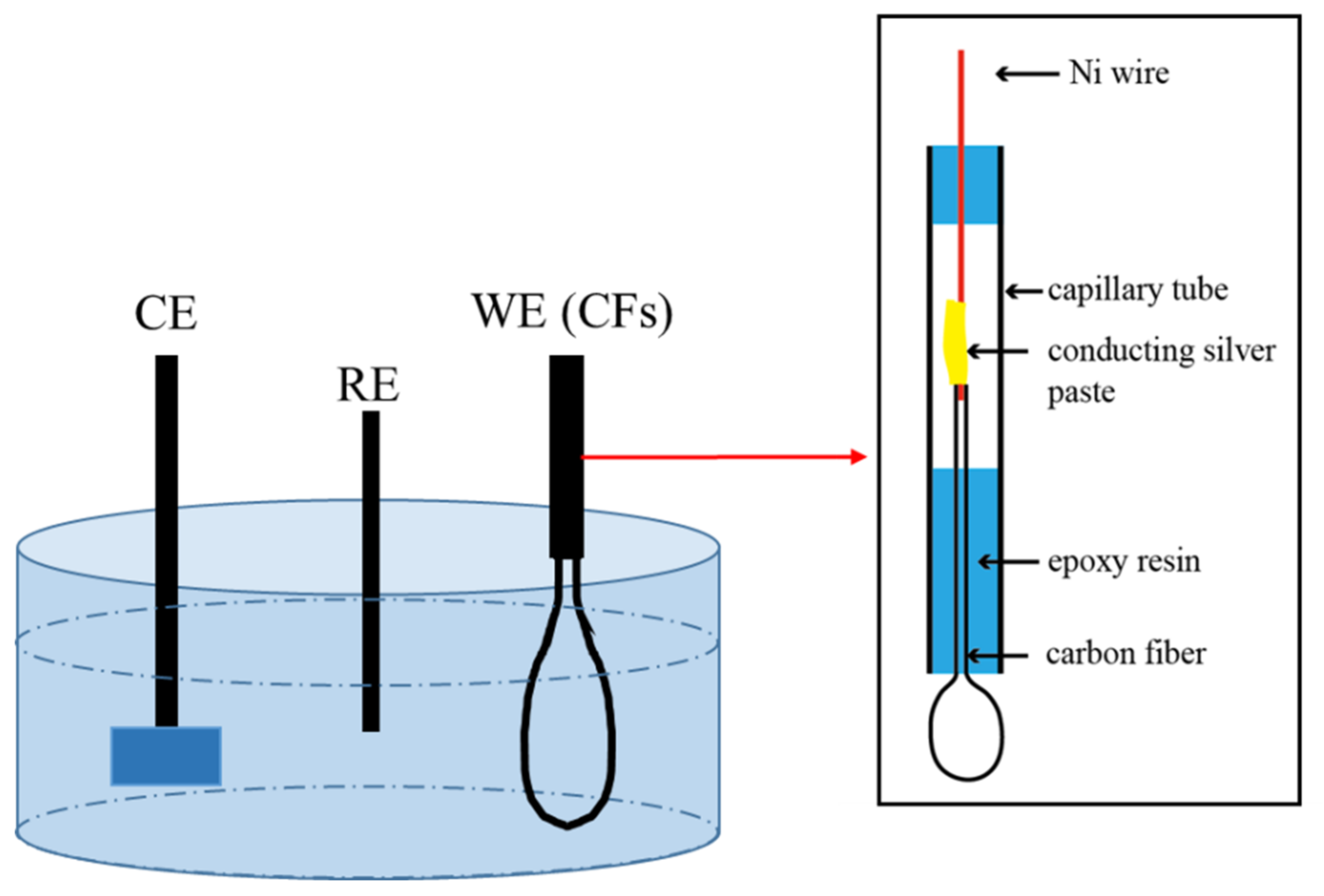 Electrochemical Activity and Damage of Single Carbon Fiber