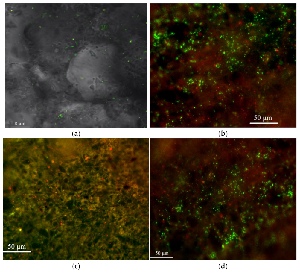 Materials 14 01760 g001