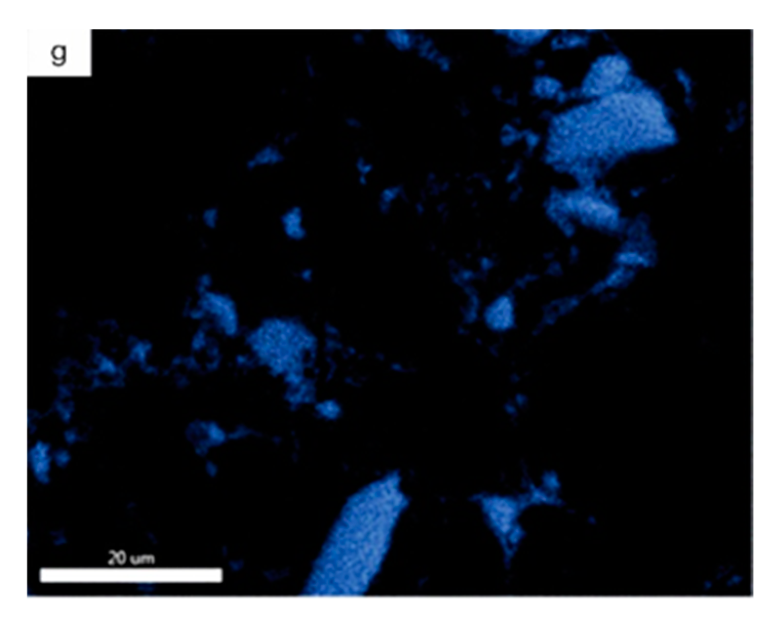 Materials 14 01774 g007b Materials 14 01774 g007b