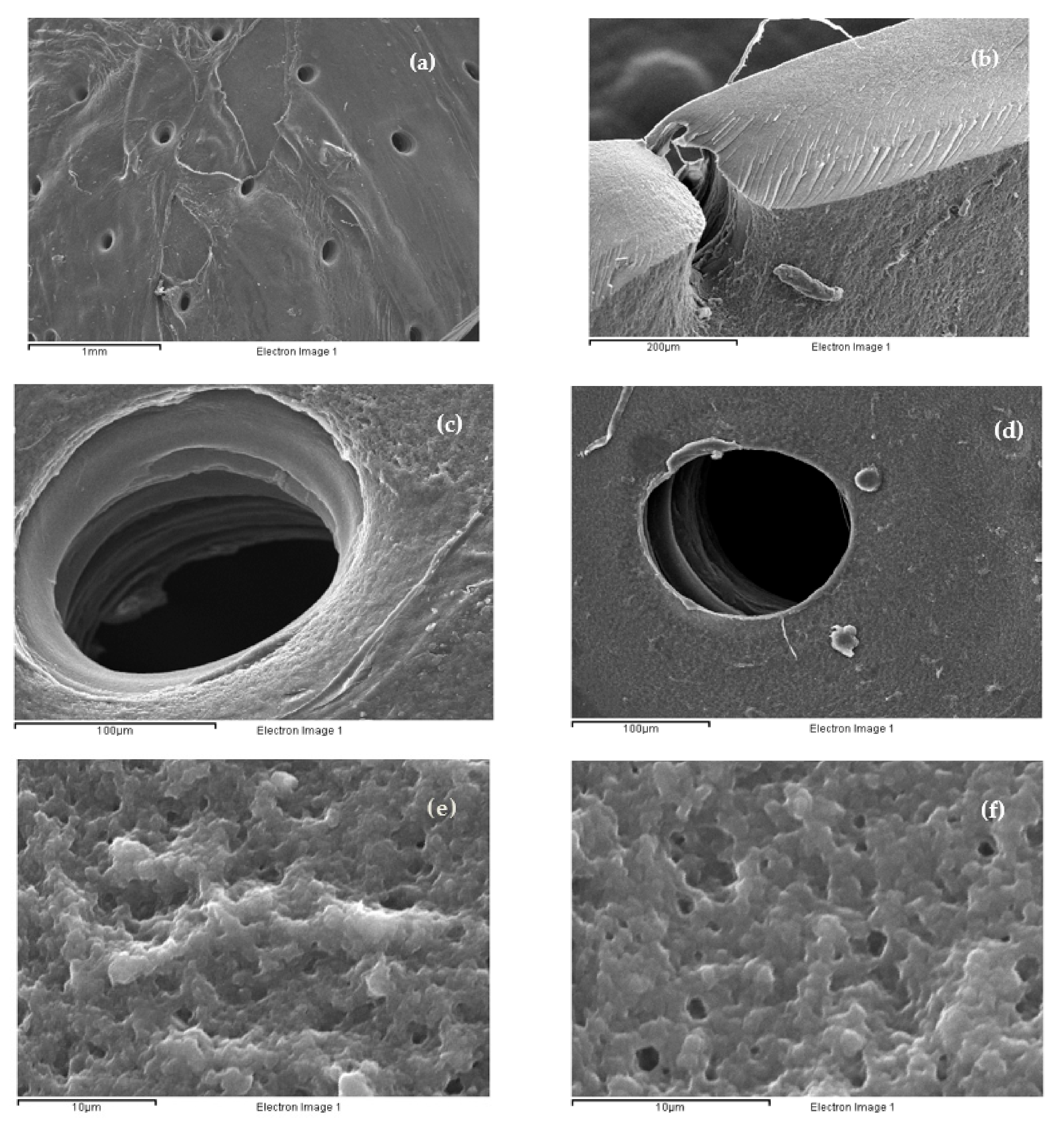 Materials 14 01807 g008a