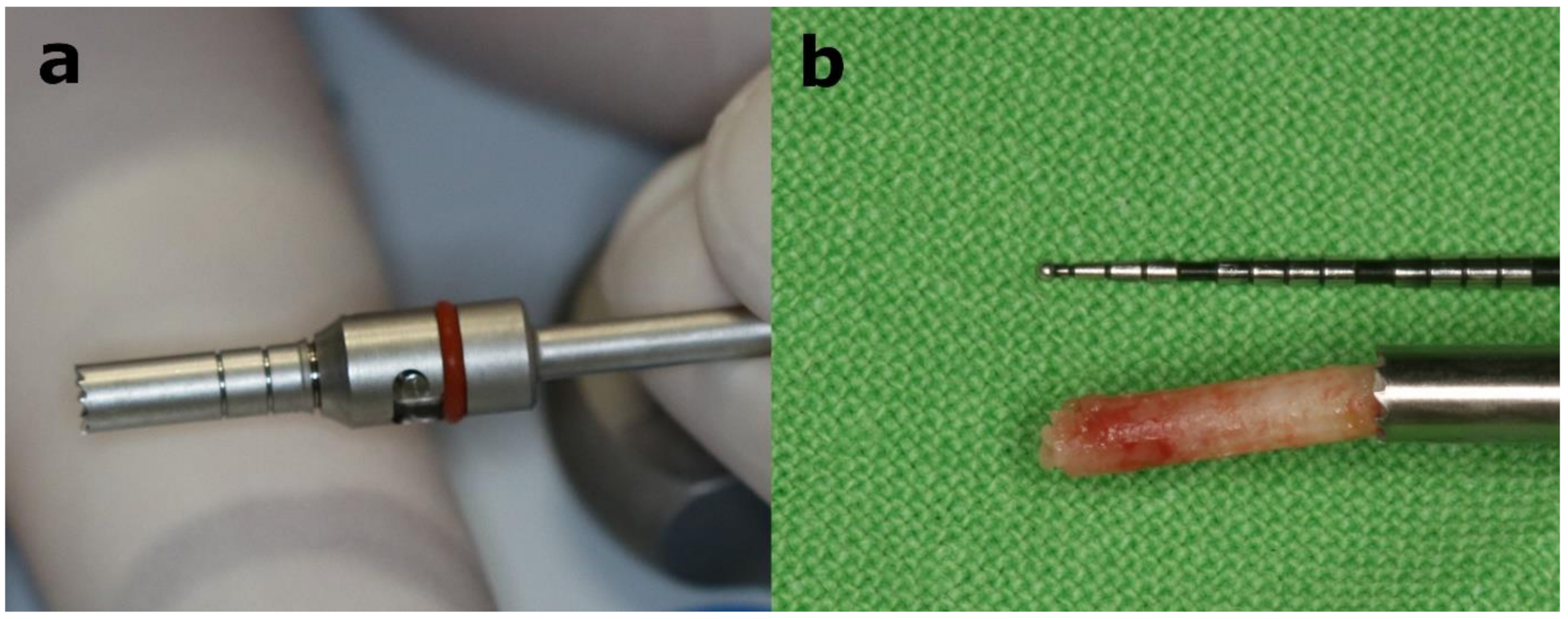 Materials 14 01810 g002