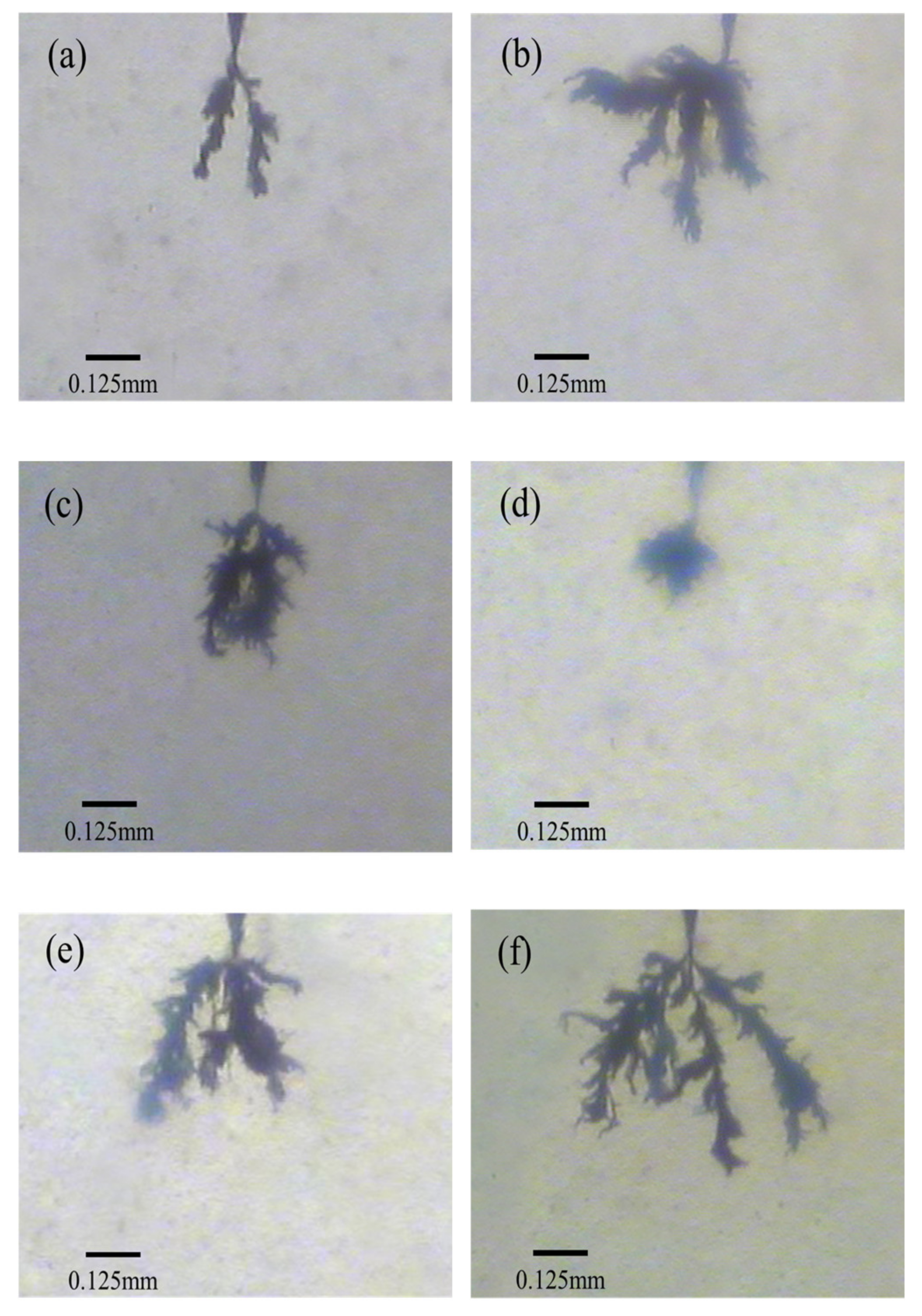 Materials 14 01811 g009