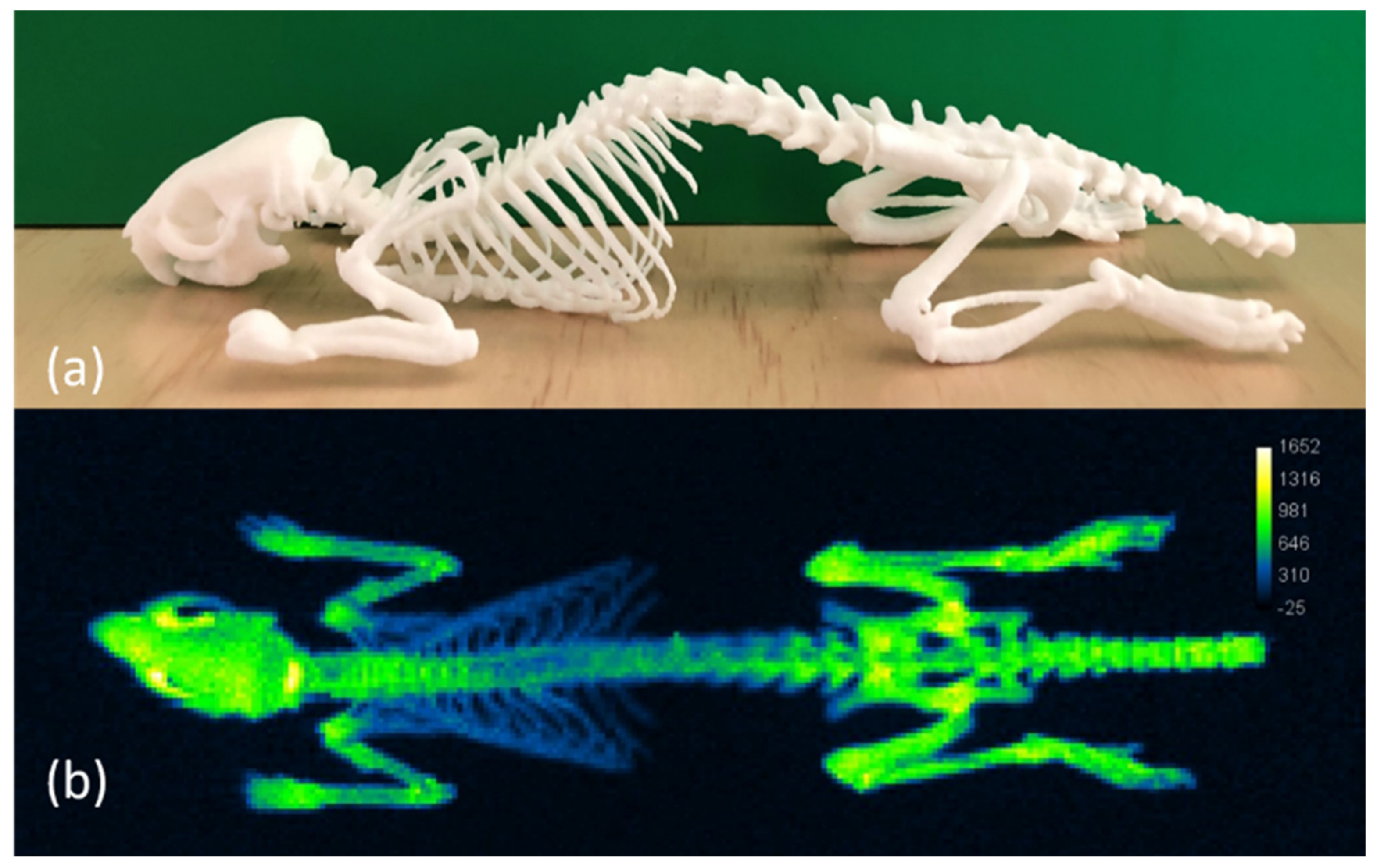 Materials 14 01813 g003