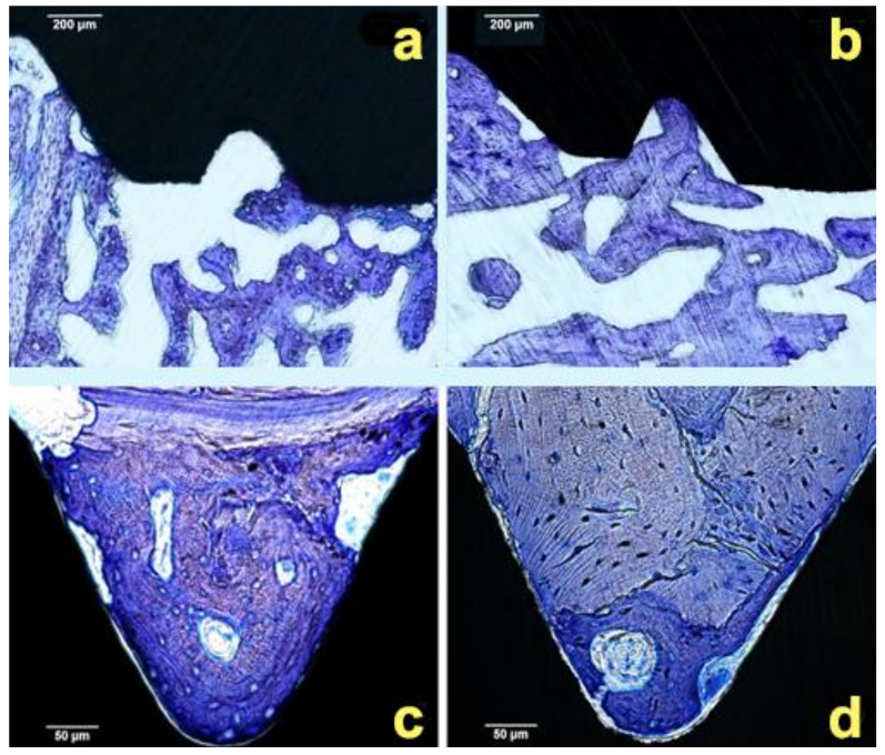 Materials 14 01814 g004 Materials 14 01814 g004