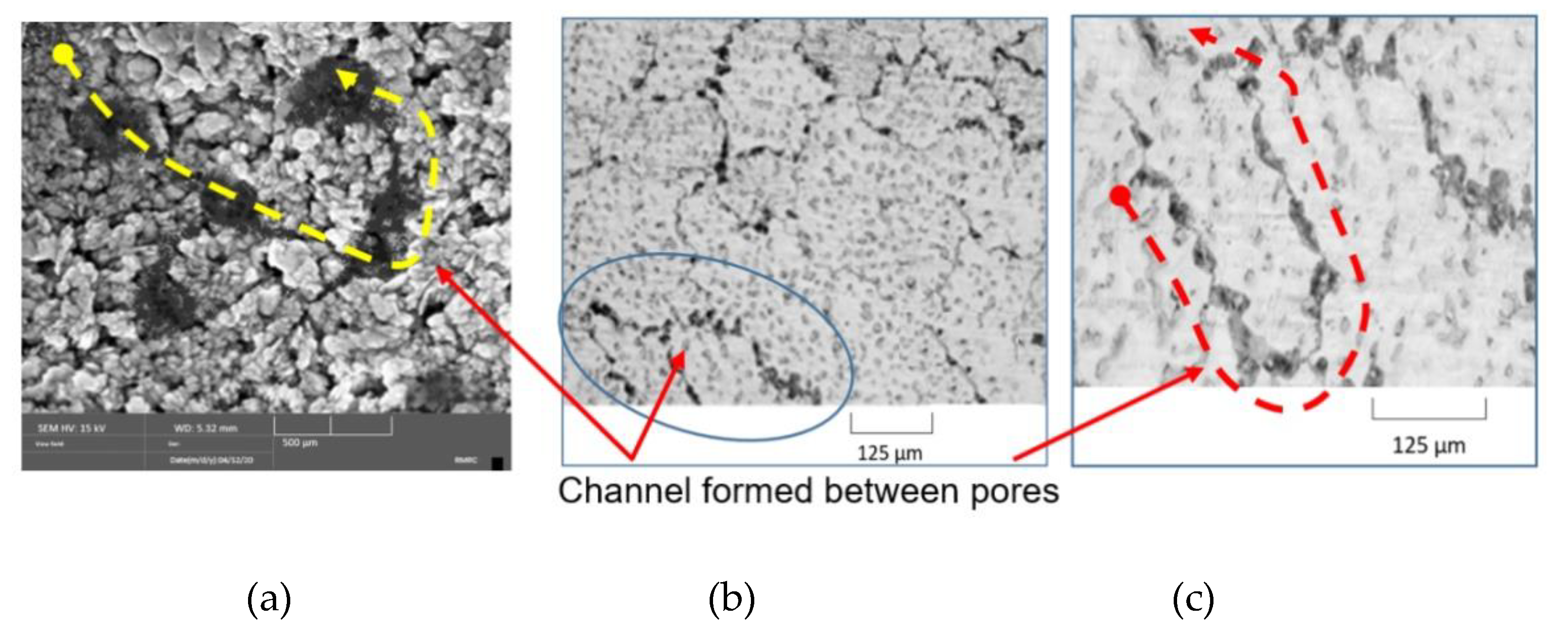 Materials 14 01819 g001
