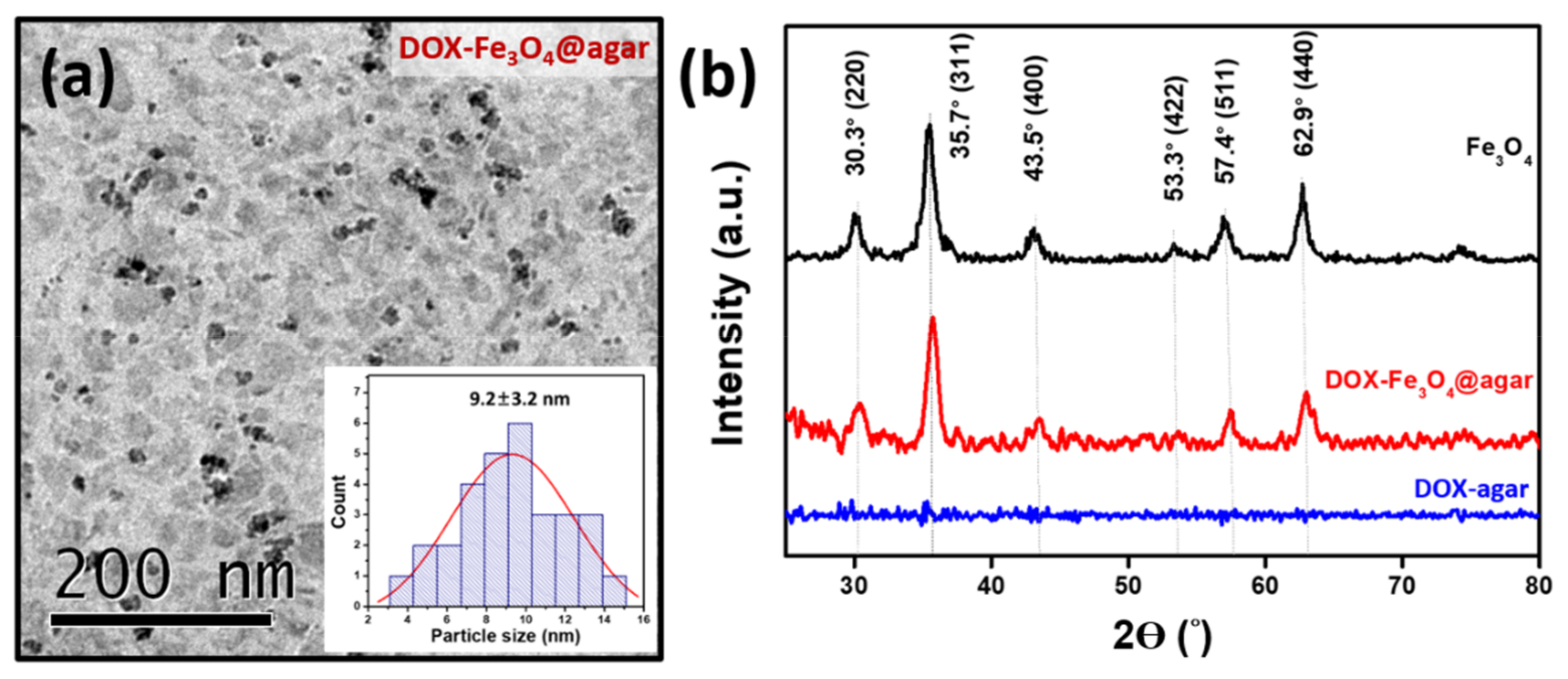 Materials 14 01824 g001 Materials 14 01824 g001