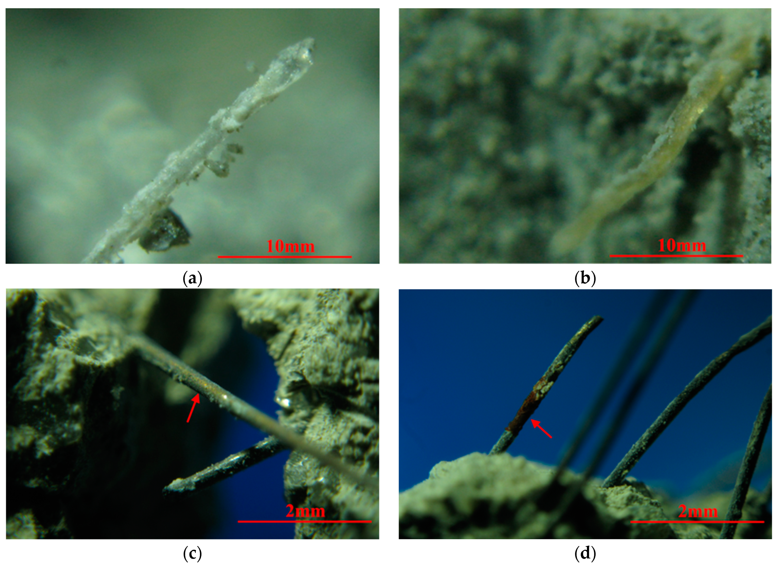 Materials 14 01827 g009 Materials 14 01827 g009