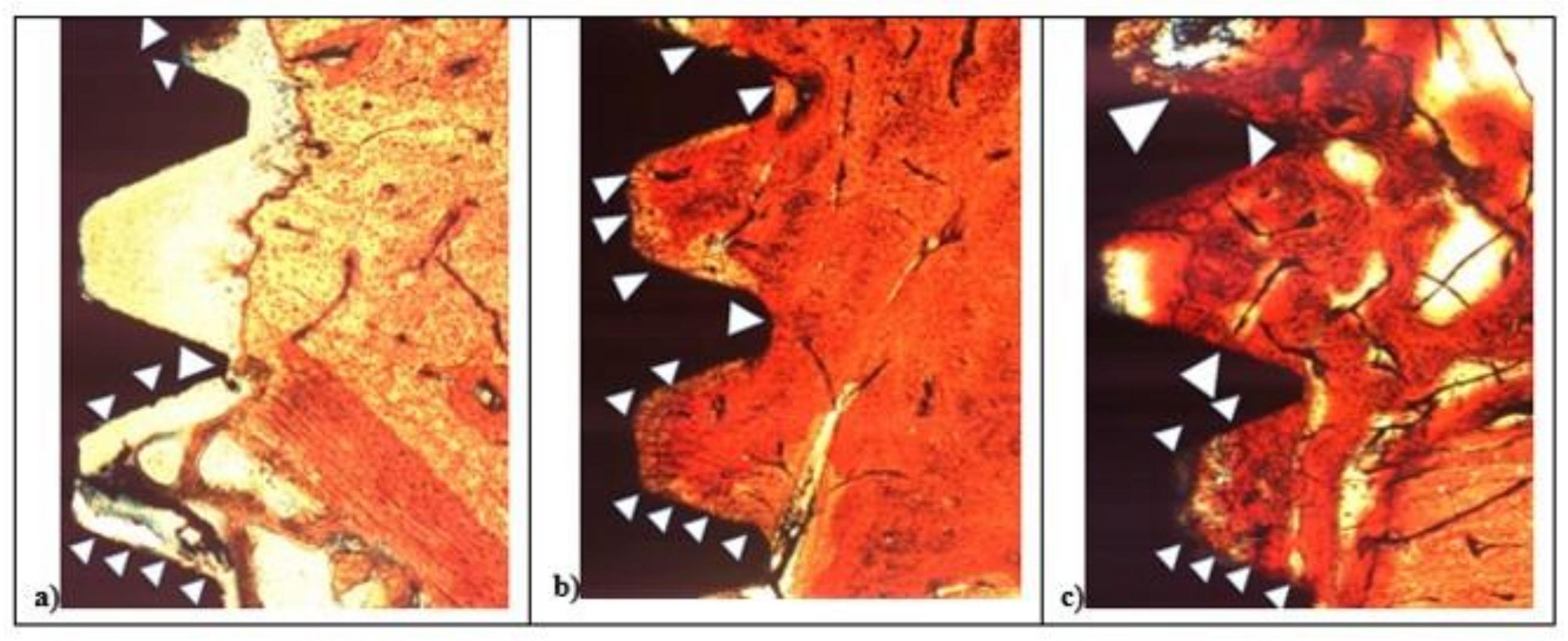 Materials 14 01830 g008 Materials 14 01830 g008