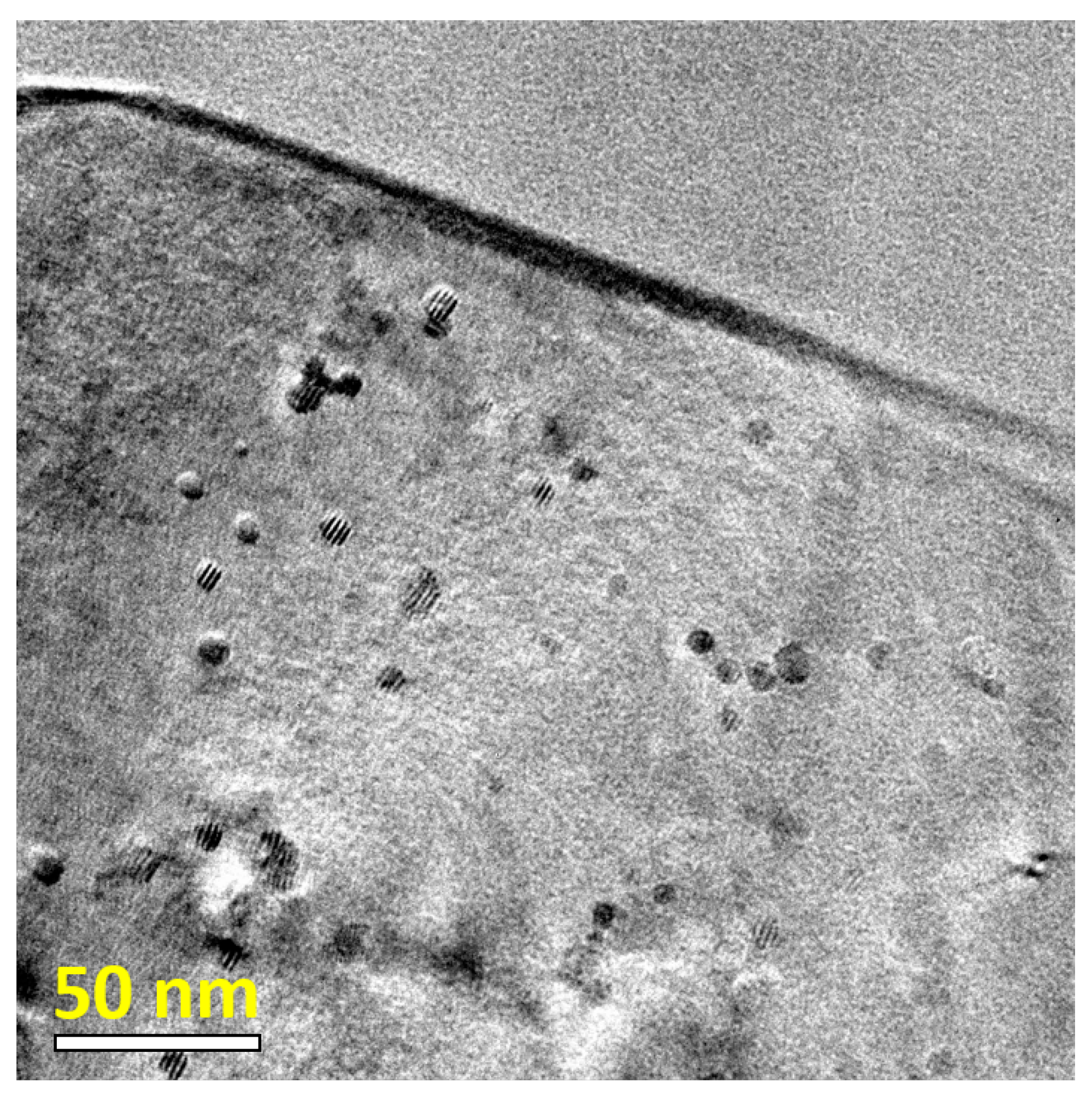 Materials 14 01837 g004