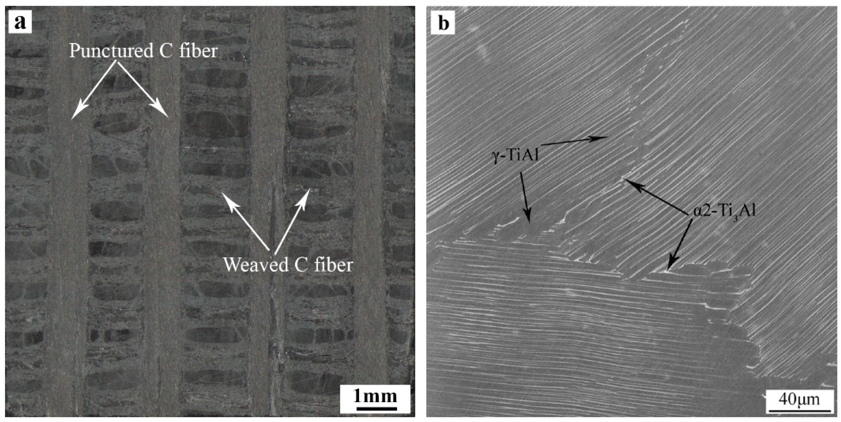 Materials 14 01844 g001