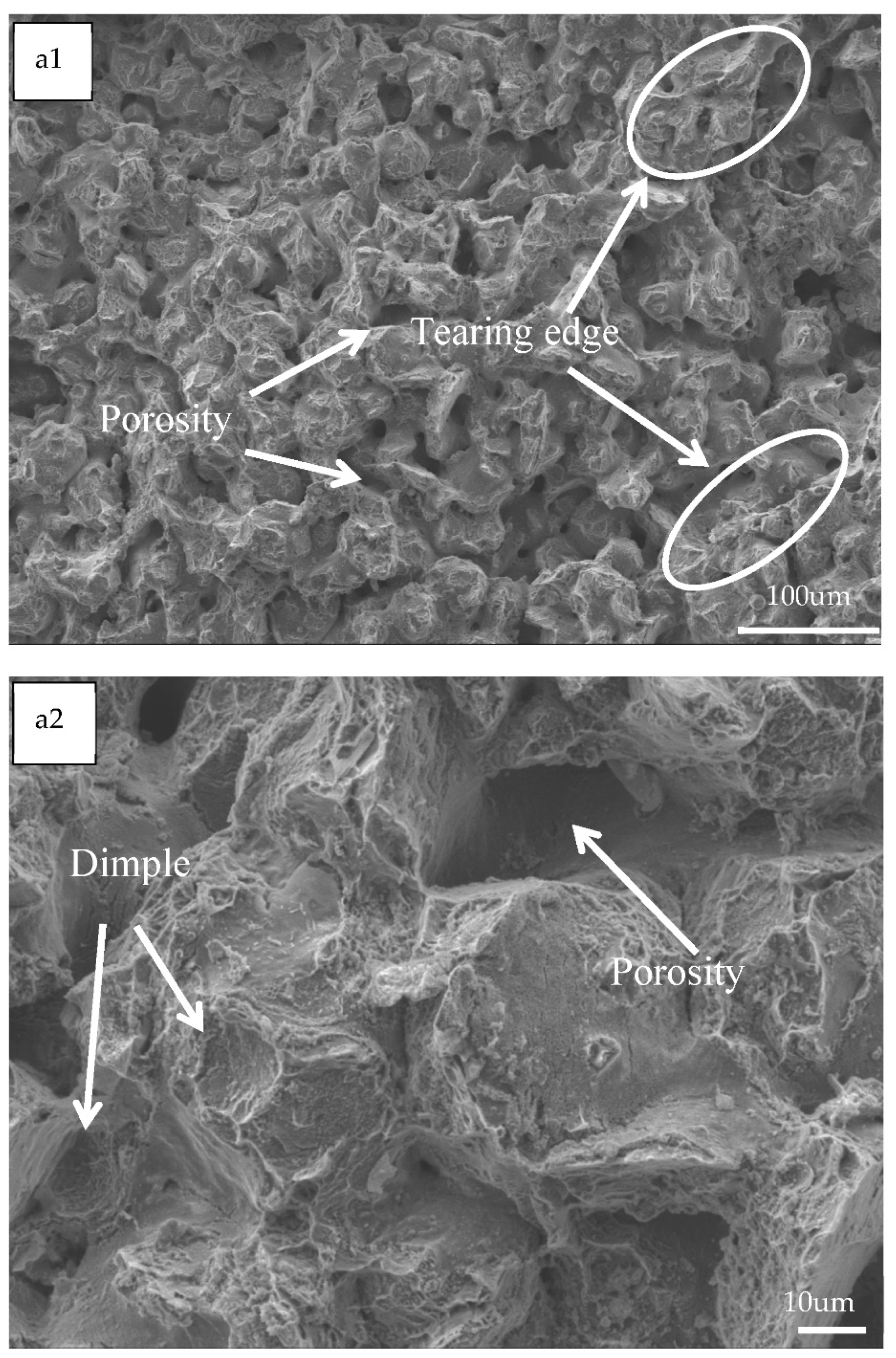 Materials 14 01855 g010a