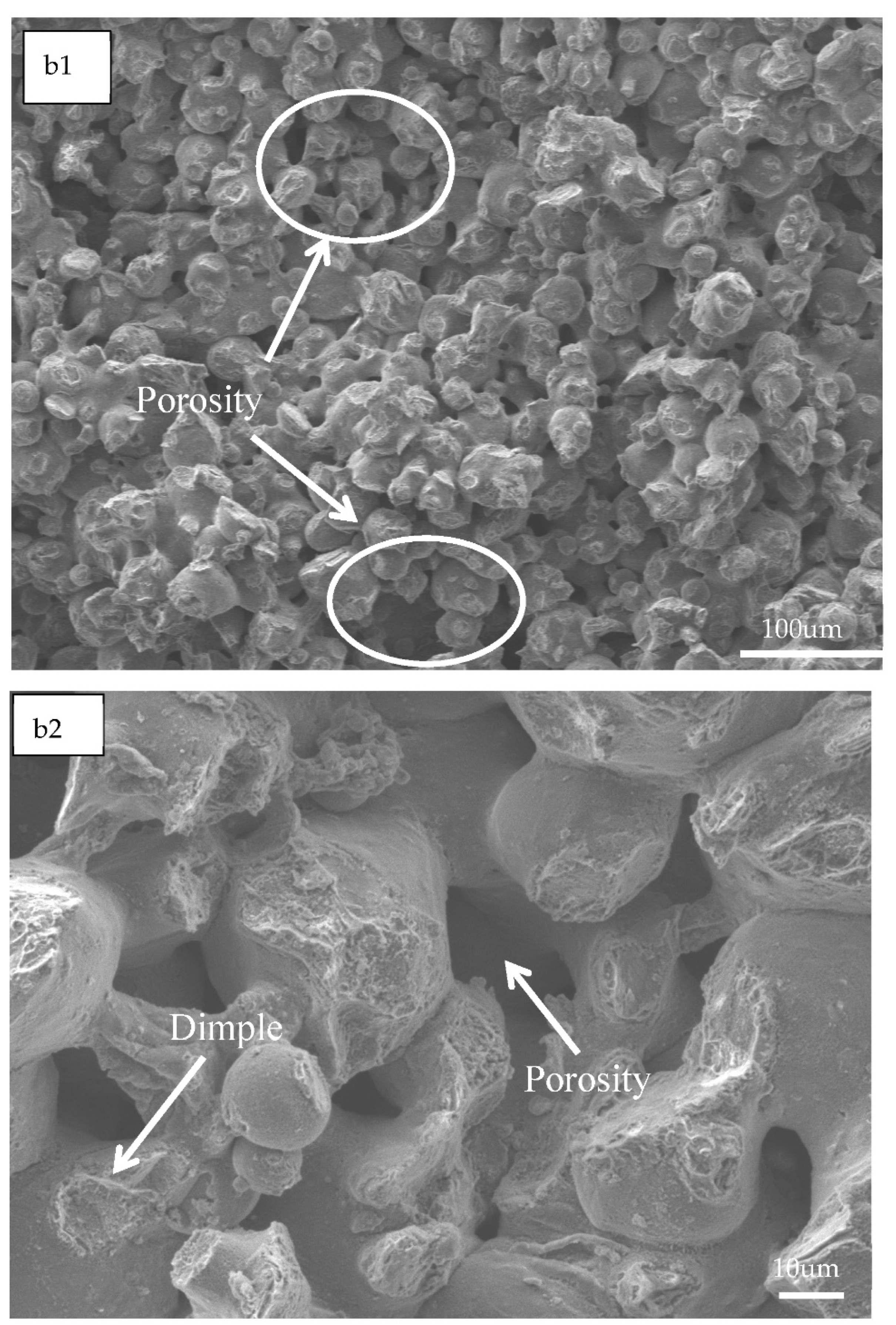 Materials 14 01855 g010b