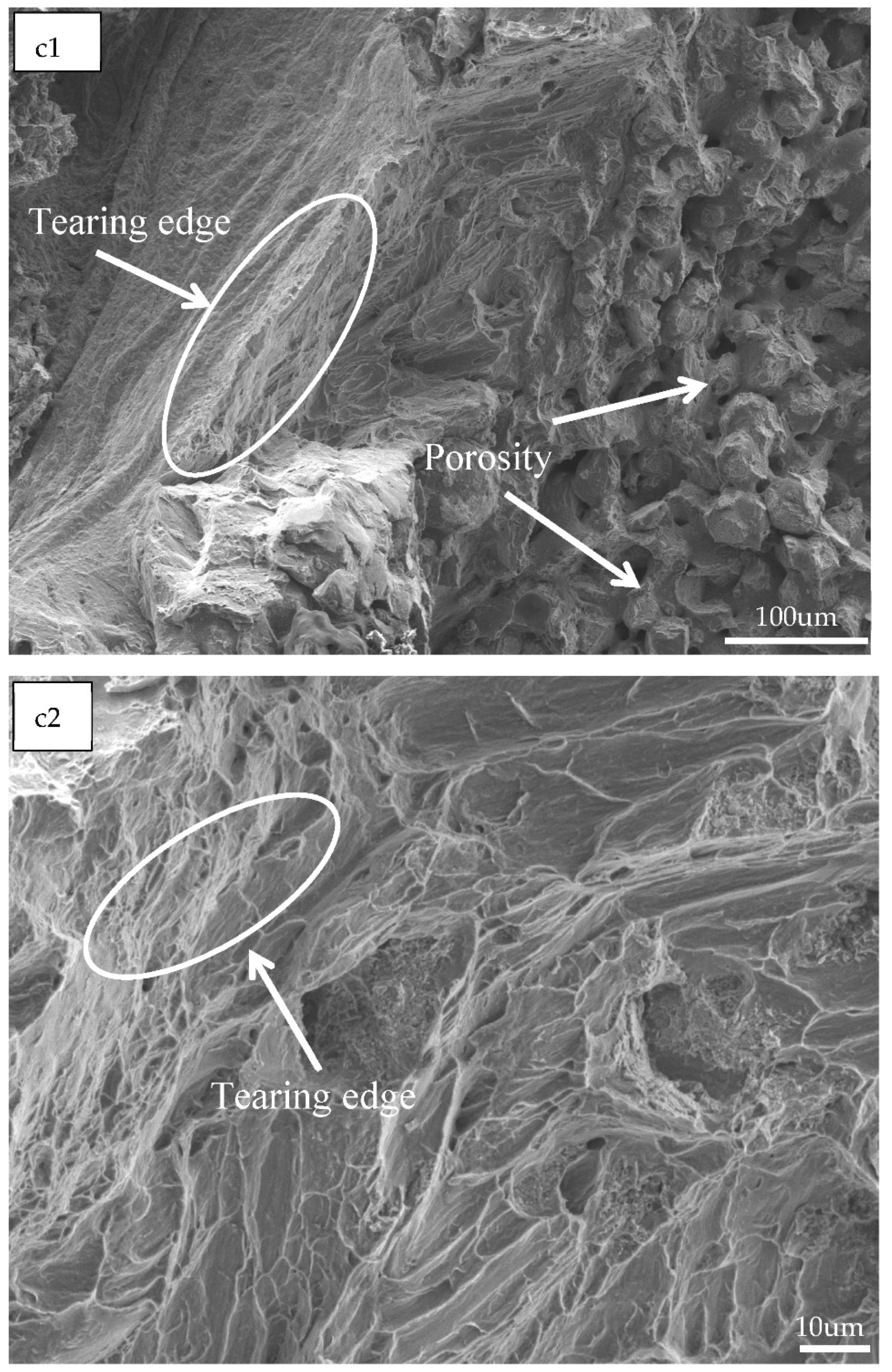 Materials 14 01855 g010c