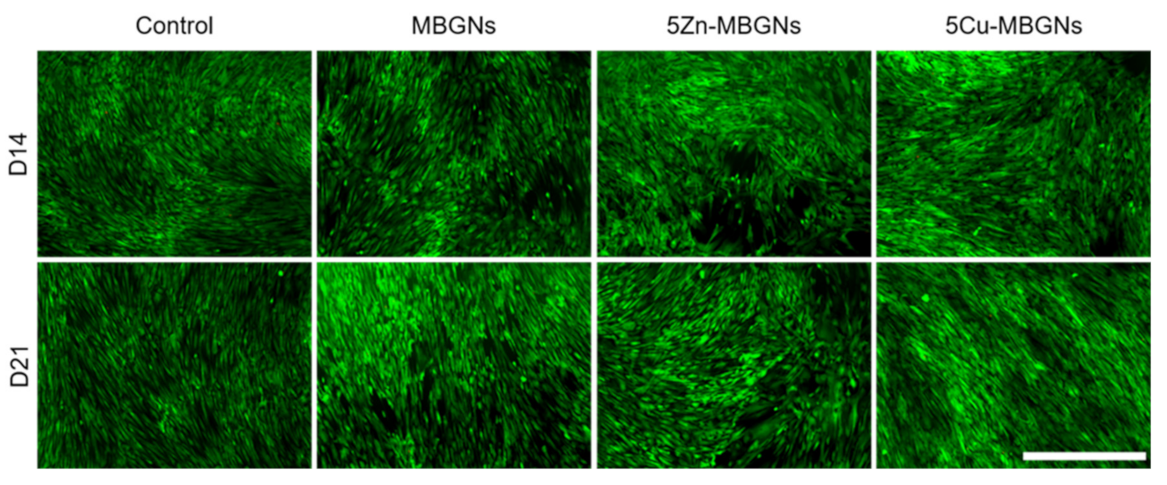 Materials 14 01864 g002 Materials 14 01864 g002