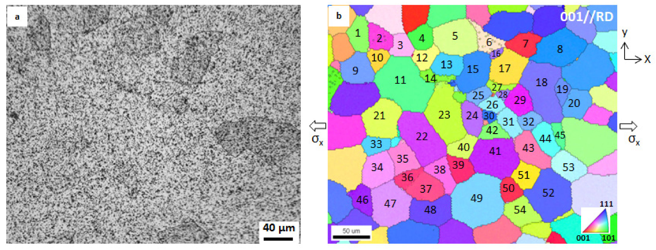 Materials 14 01865 g003