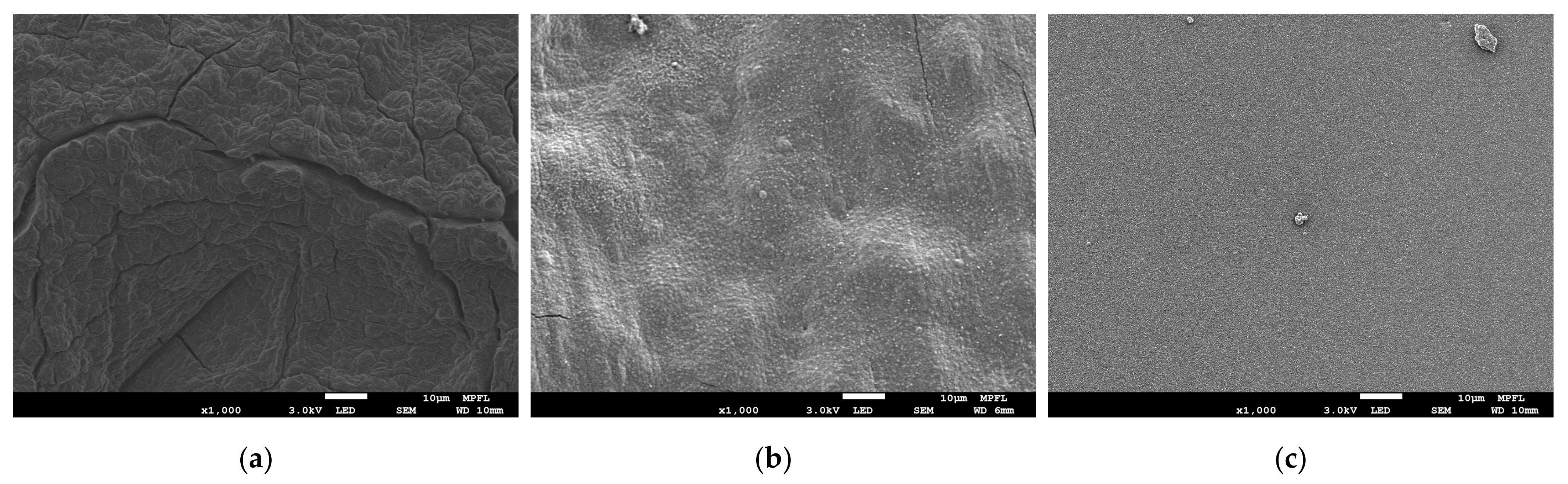 Materials 14 01873 g004 Materials 14 01873 g004