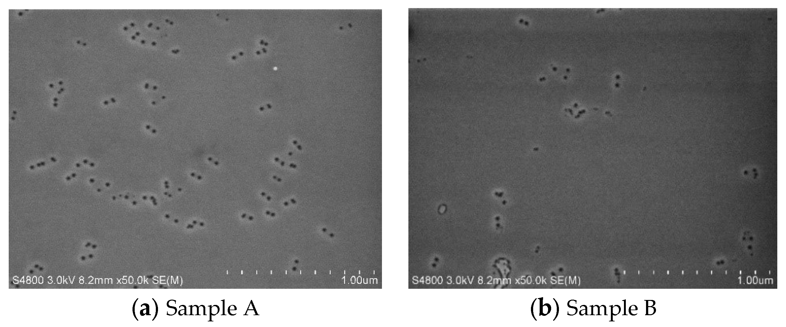 Materials 14 01877 g005 Materials 14 01877 g005