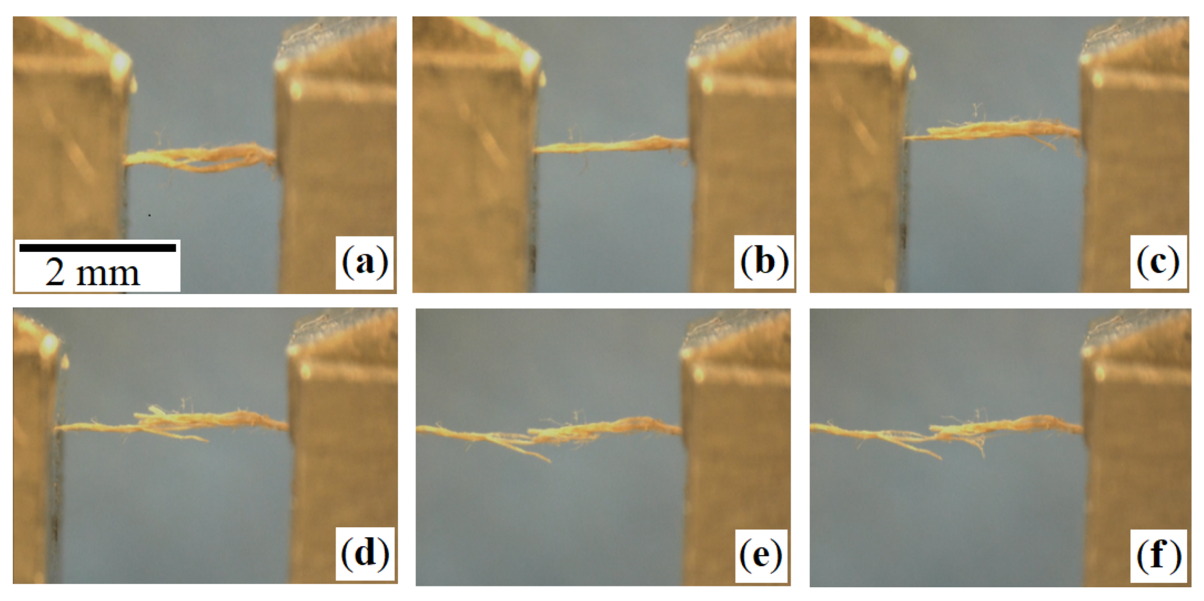Materials 14 01894 g004 Materials 14 01894 g004
