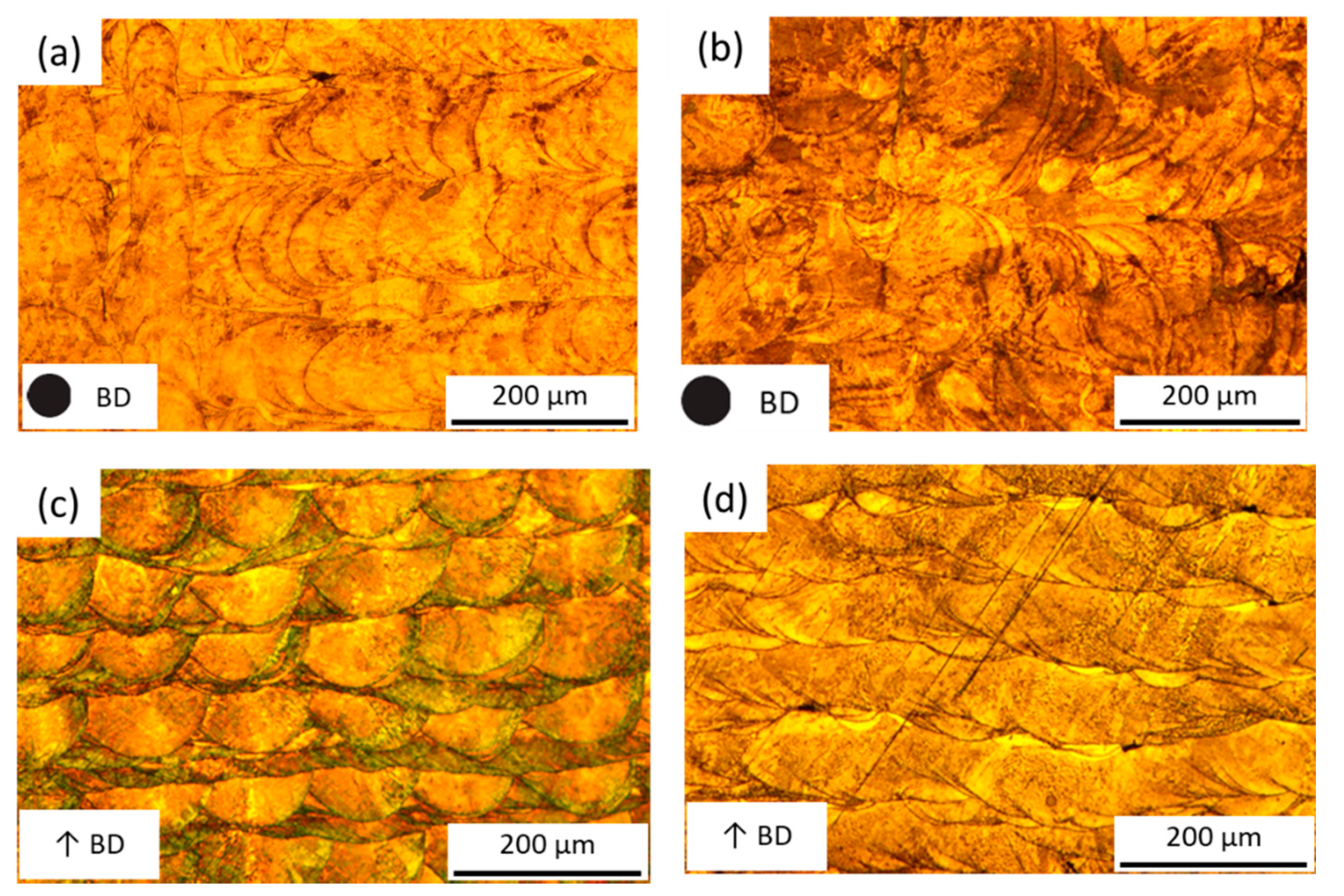 Materials 14 01905 g007 Materials 14 01905 g007