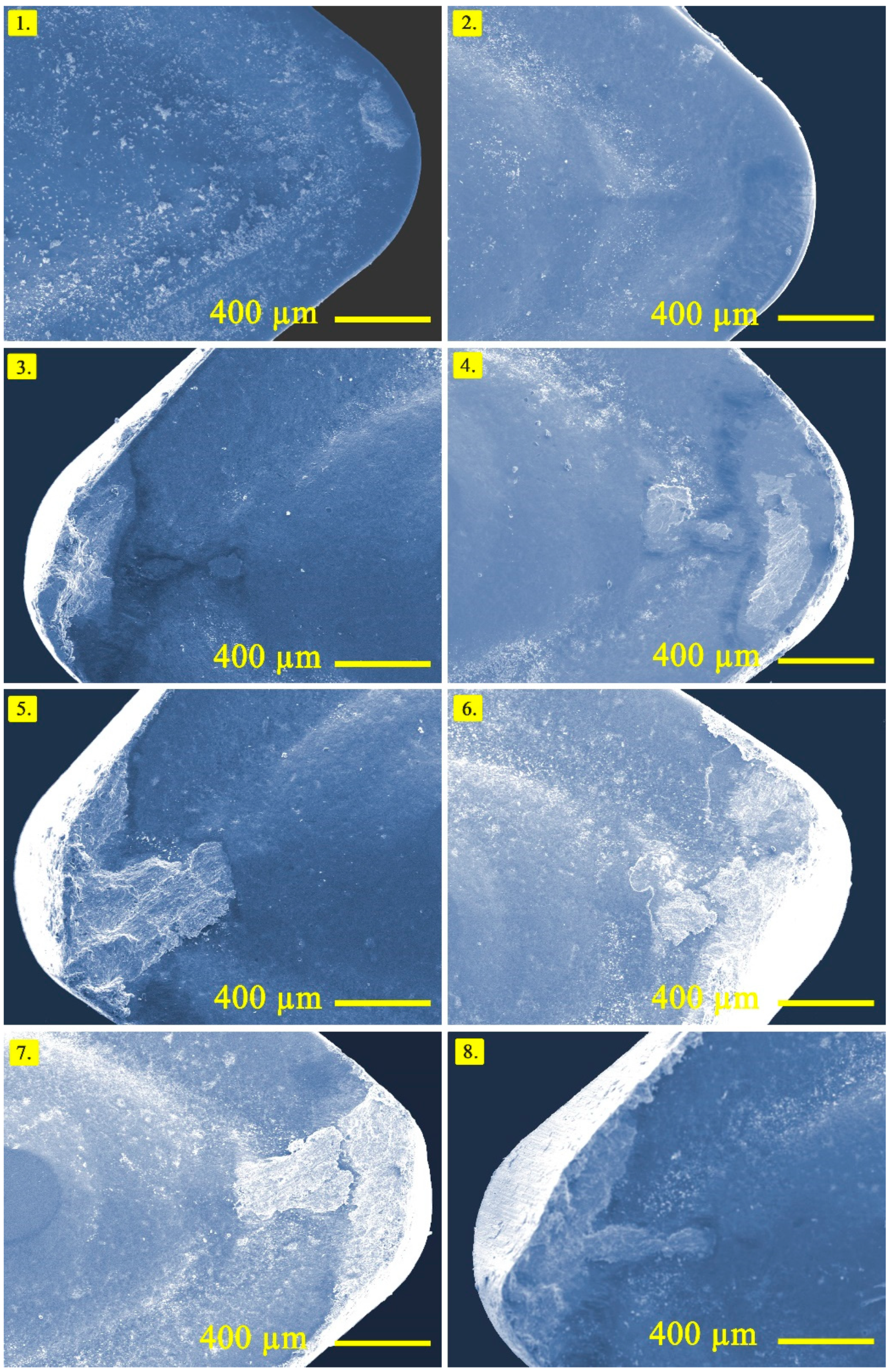 Materials 14 01921 g008 Materials 14 01921 g008
