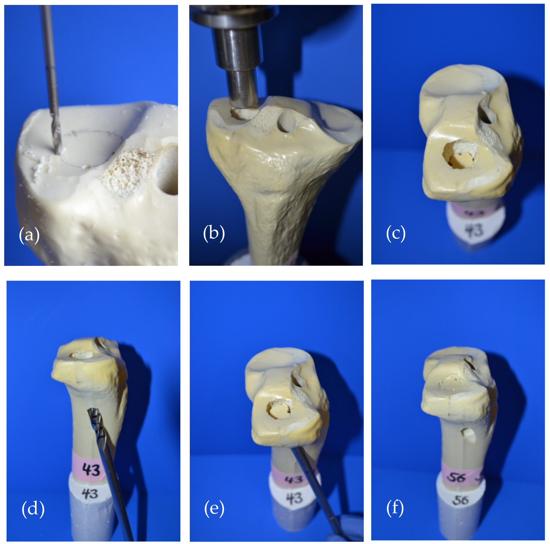 Materials 14 01925 g003 Materials 14 01925 g003