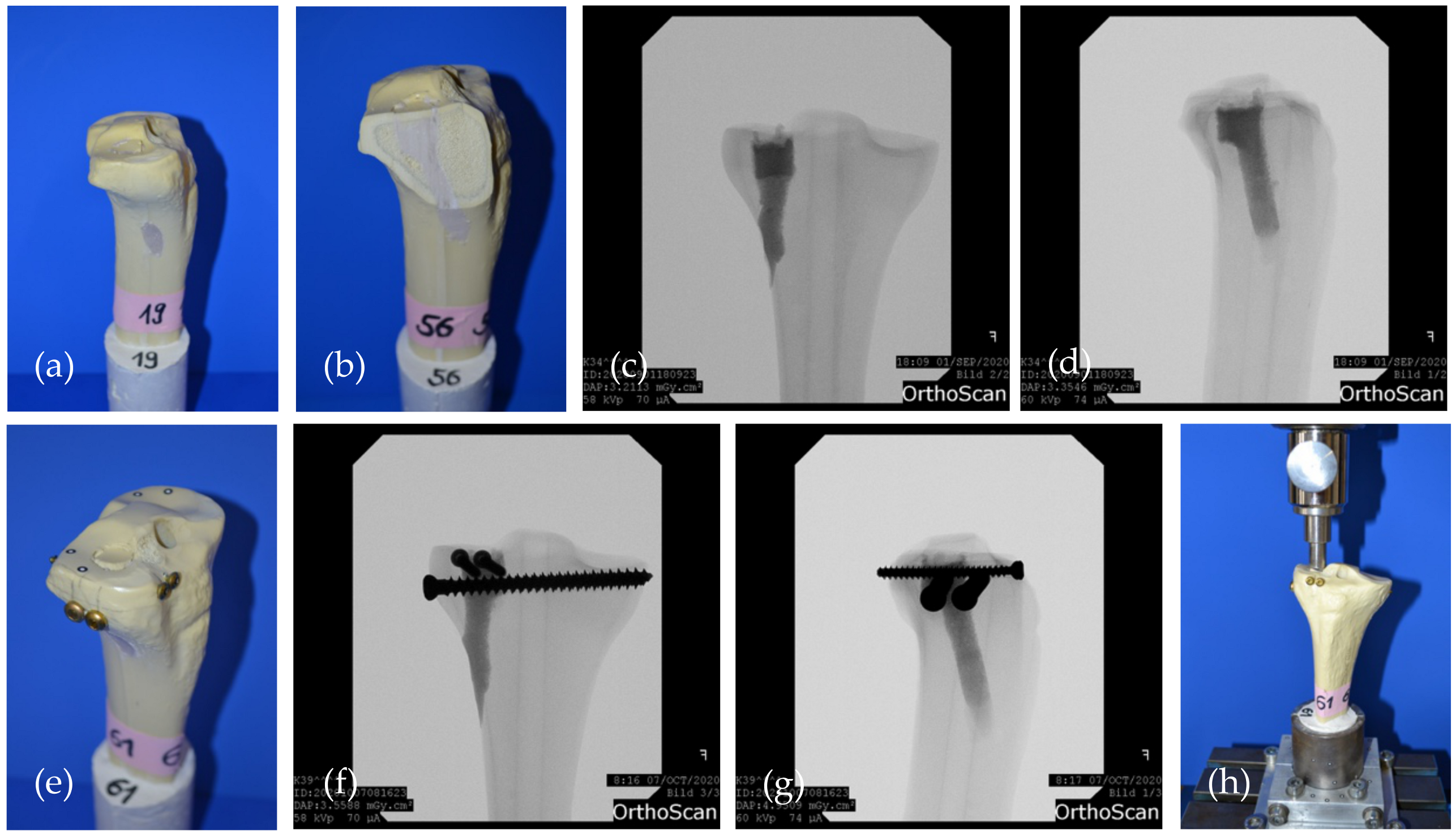 Materials 14 01925 g004 Materials 14 01925 g004