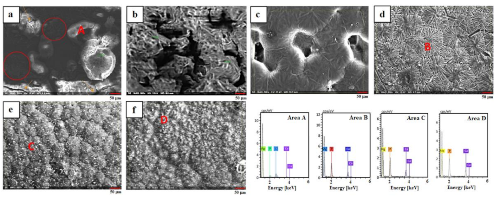 Materials 14 01930 g005 Materials 14 01930 g005